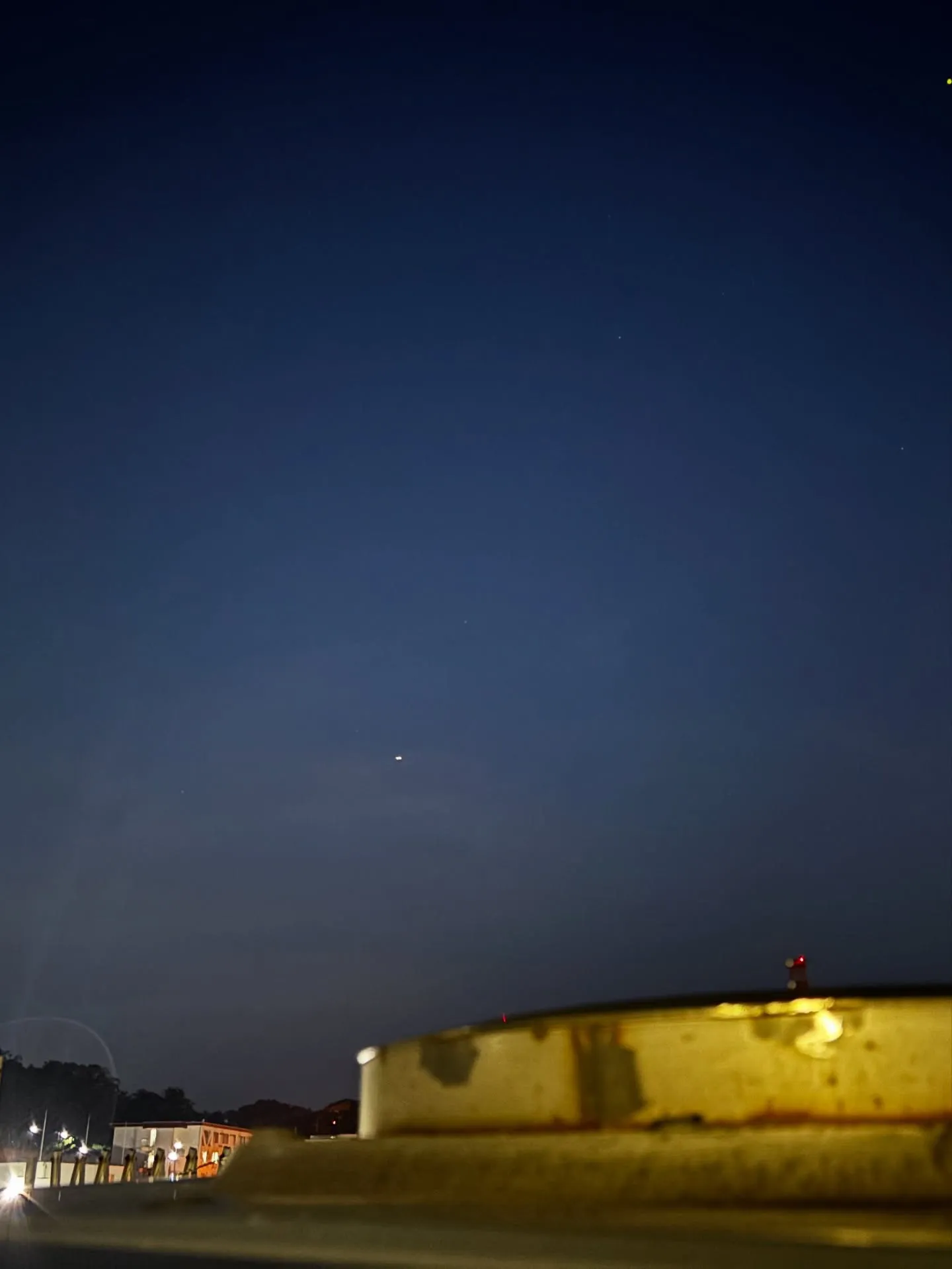 神奈川県横須賀市で家族の一員となっている猫ちゃんのペット火葬...