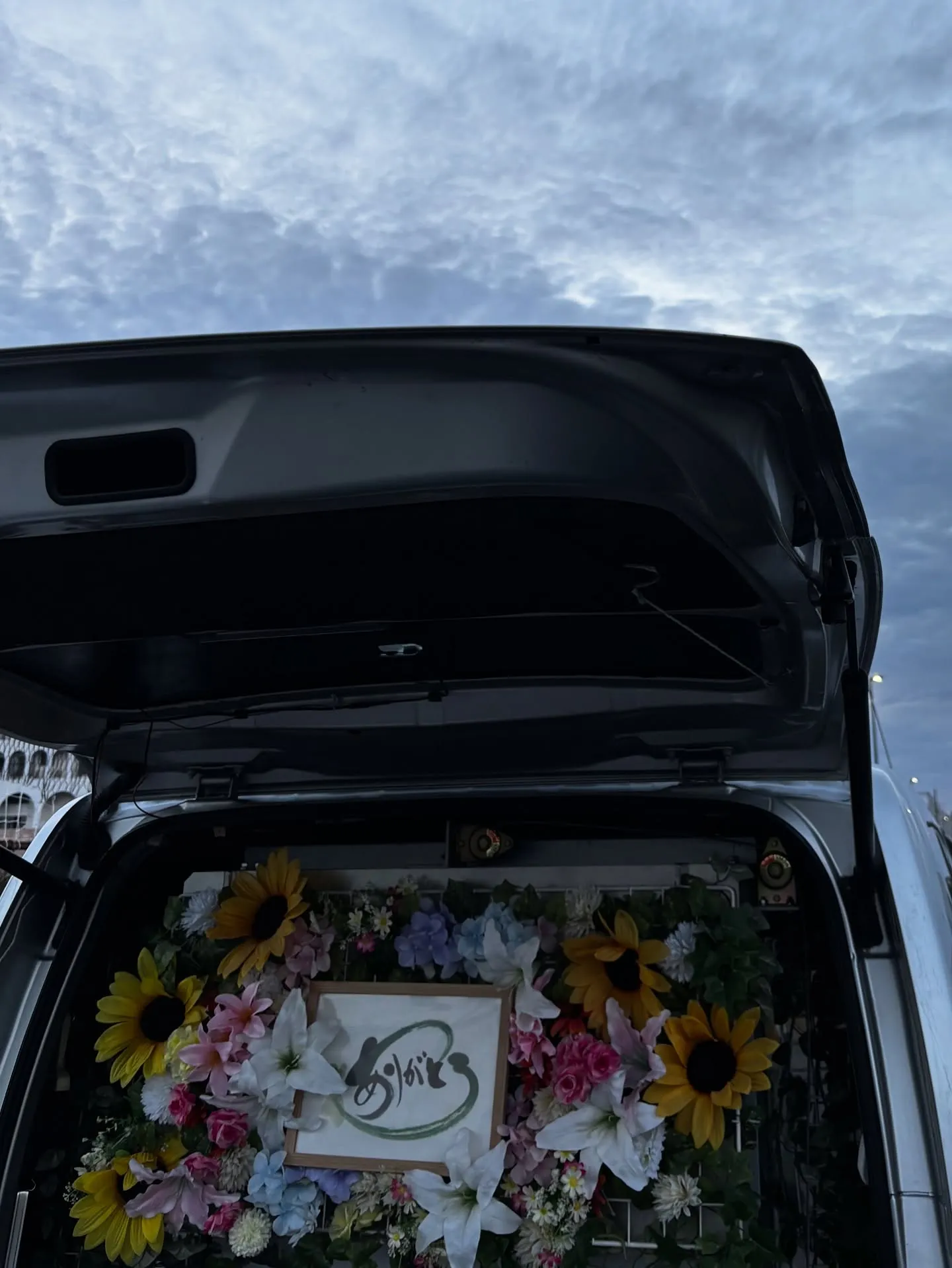 神奈川県横須賀市において、大切な家族の一員であるうさぎさんの...