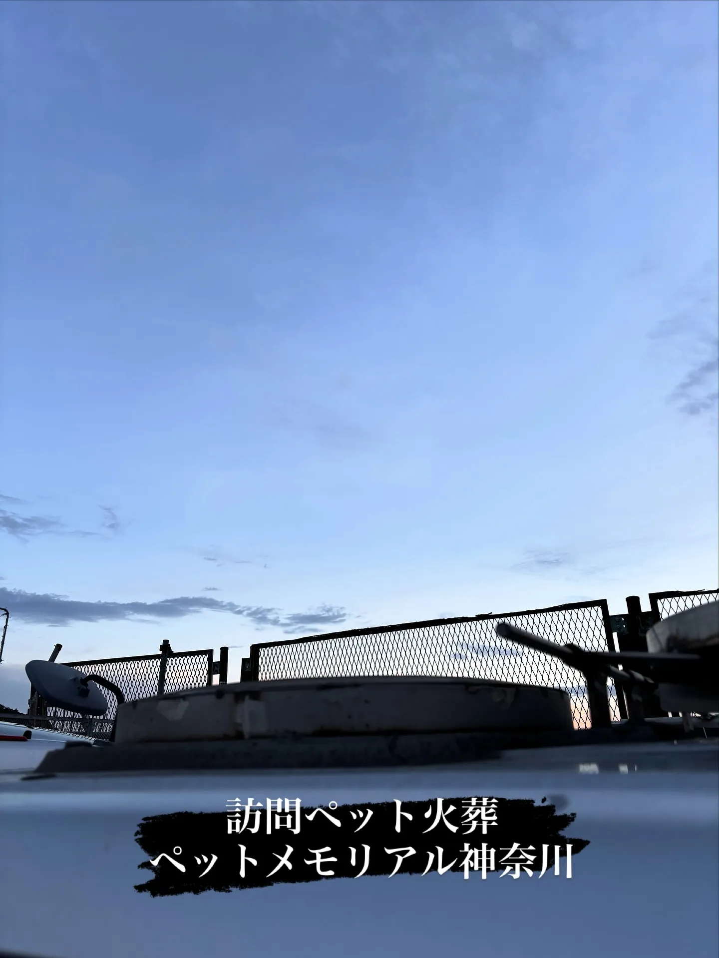 神奈川県横須賀市において、大切な家族の一員であるうさぎさんの...