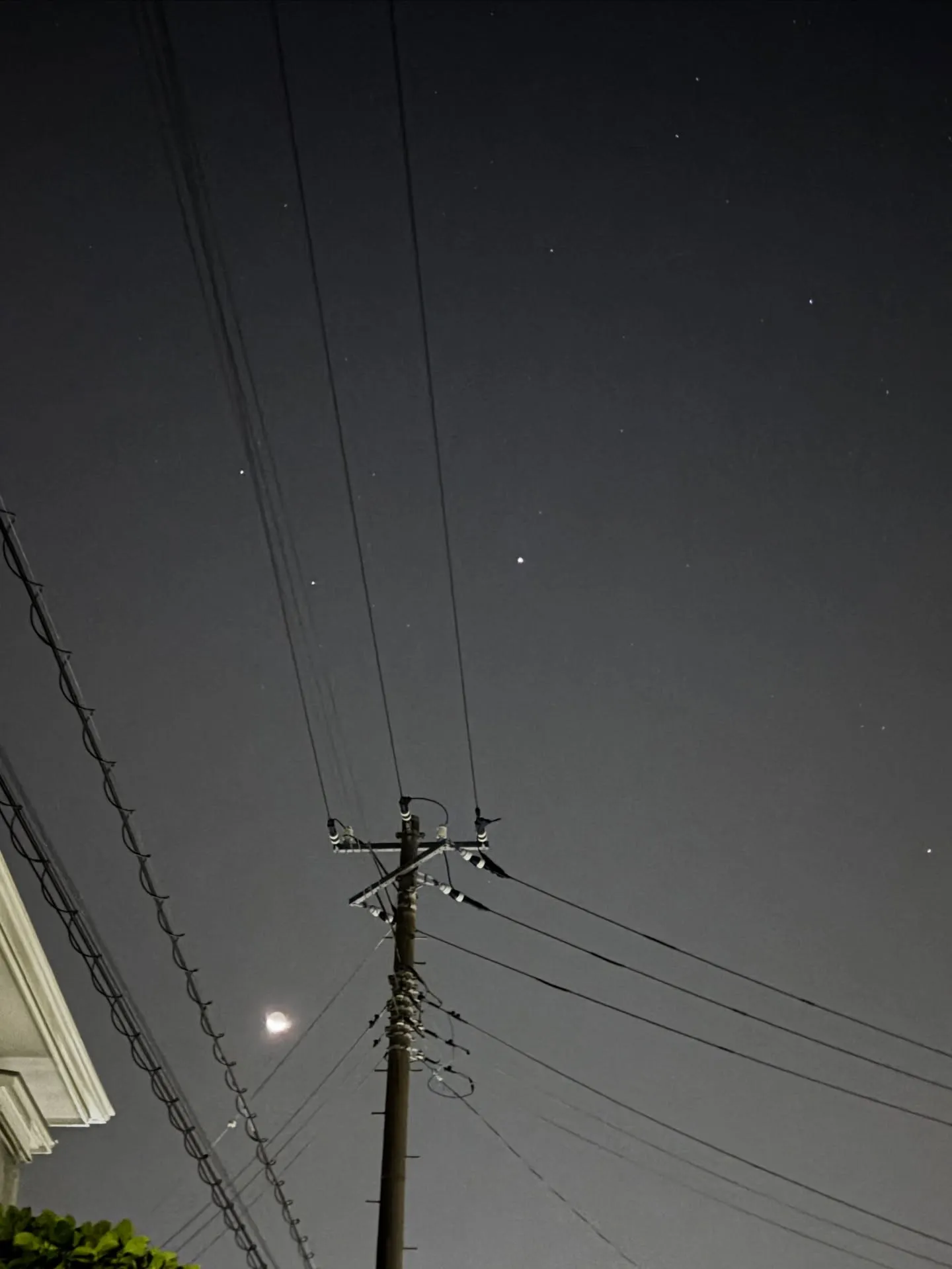 神奈川県横浜市金沢区で、ある家庭の大切な家族として愛されてき...