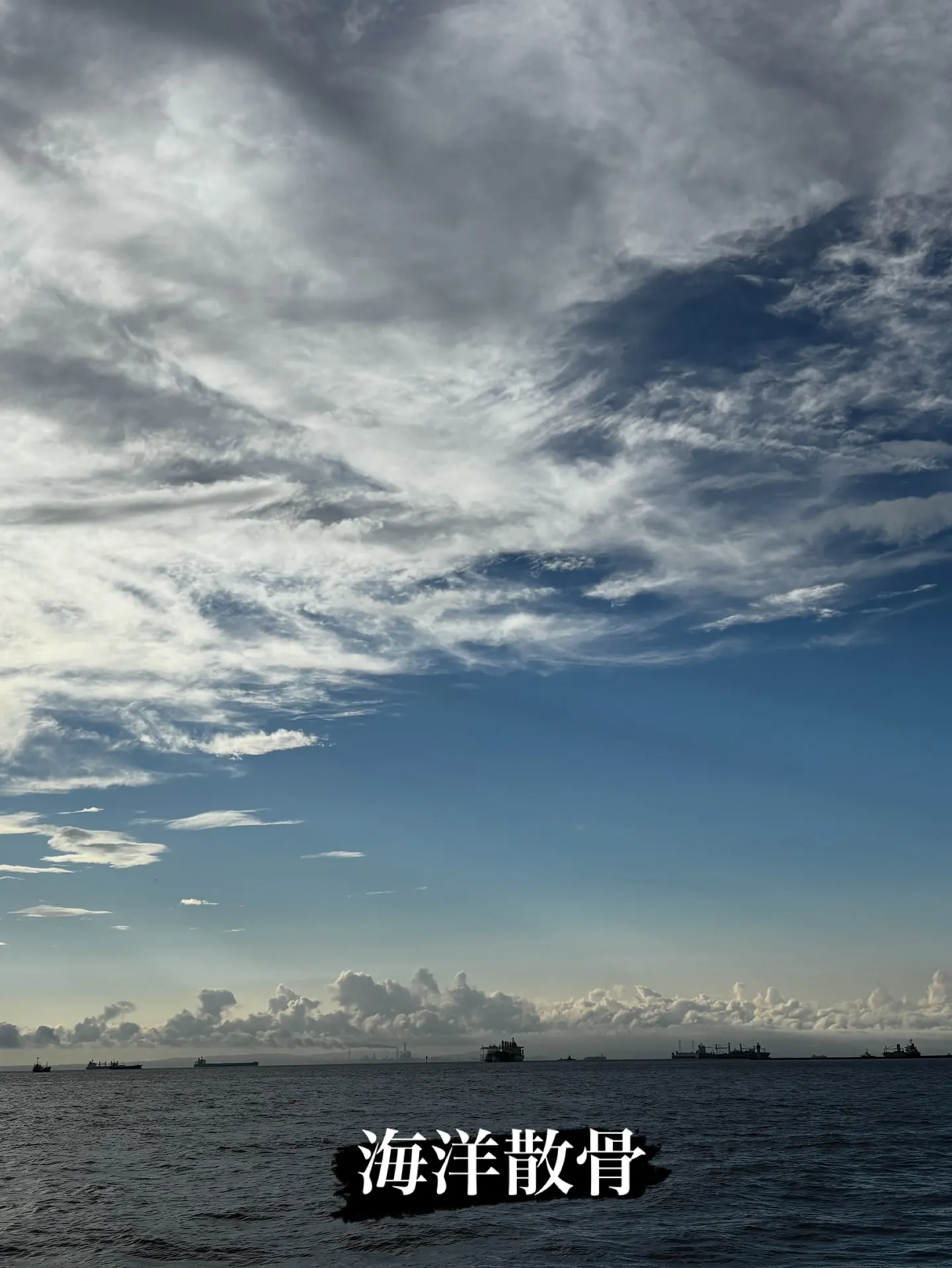 犬を飼い始める際には、その犬がどの犬種であっても、一度の生涯...