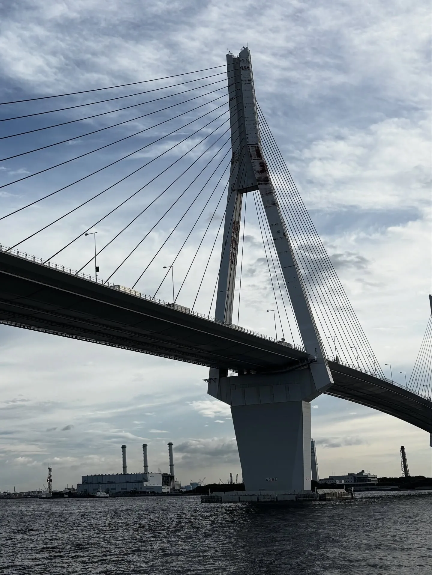 犬を飼い始める際には、その犬がどの犬種であっても、一度の生涯...