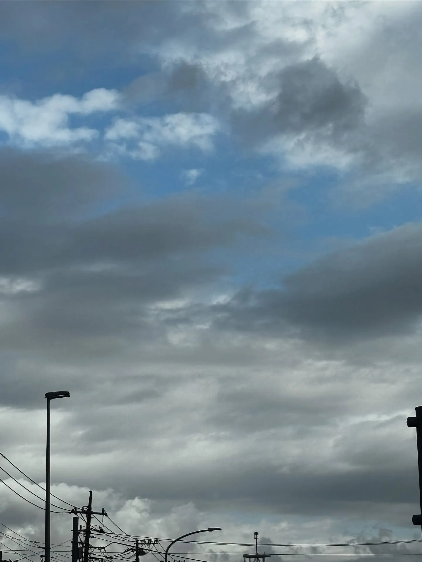 神奈川県三浦市にて大切なペット、小さなワンちゃんのお別れ式と...