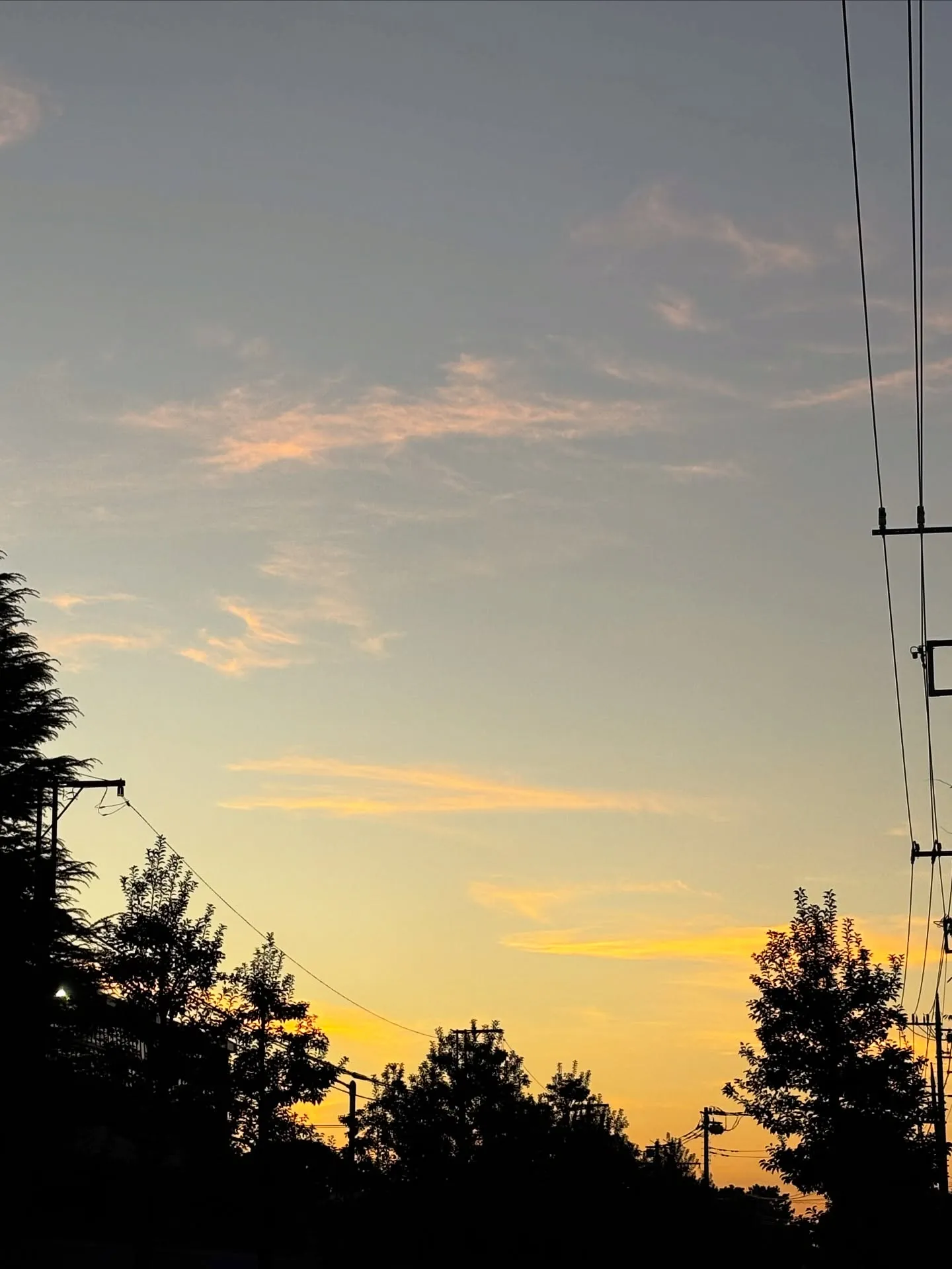 「ペットは私たちの大切な家族の一員ですから、そのお別れにも心...