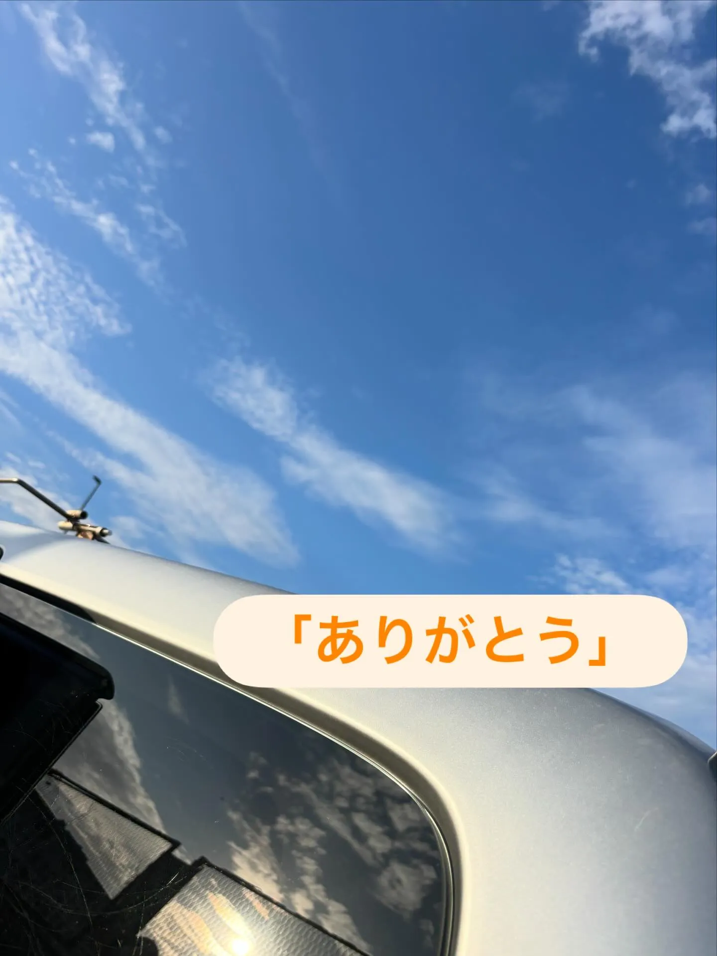 鎌倉市より猫ちゃんのお見送りをお手伝いさせていただきました。