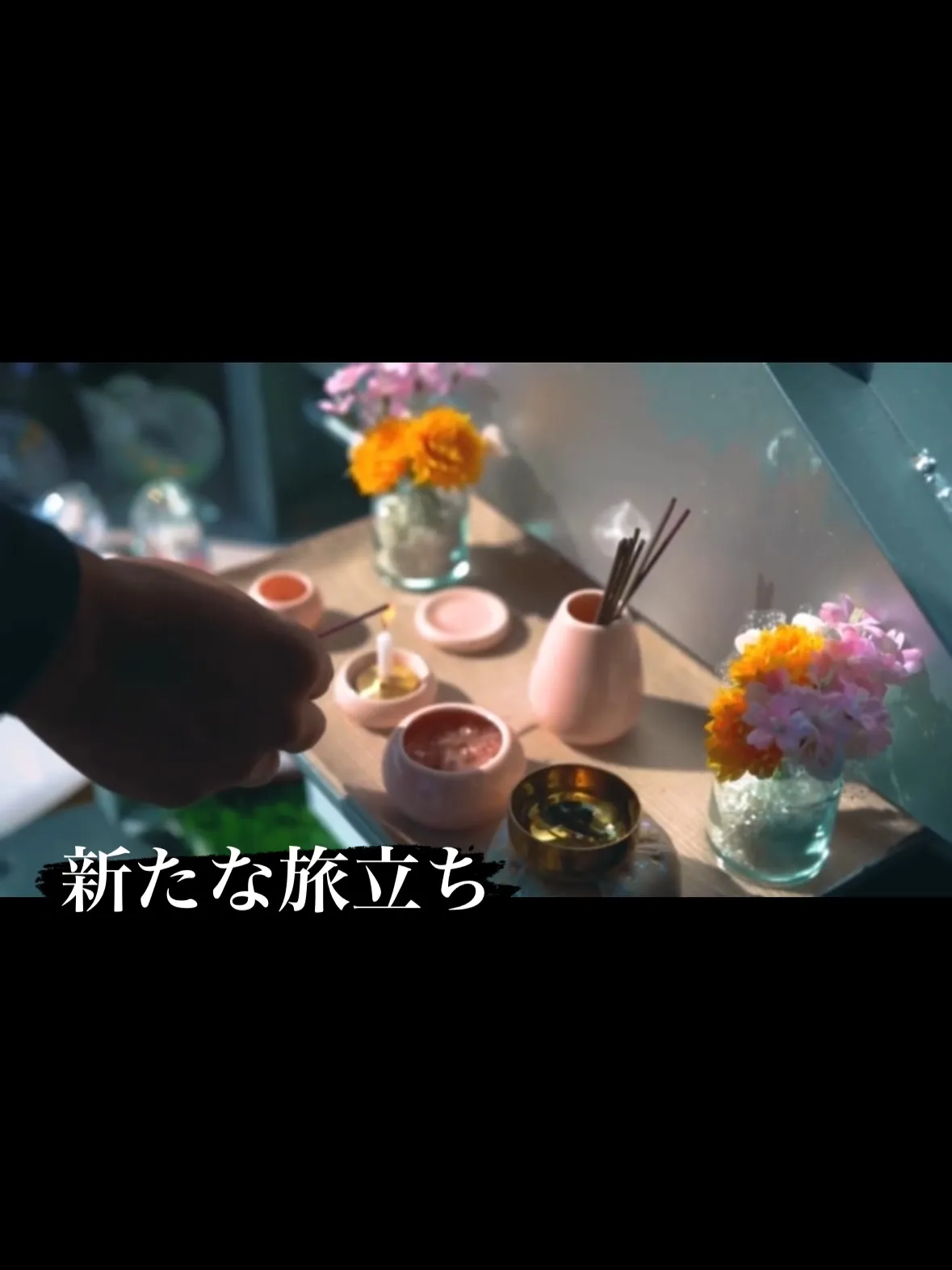 訪問ペット火葬ペットメモリアル神奈川は、ペットとの思い出を大...