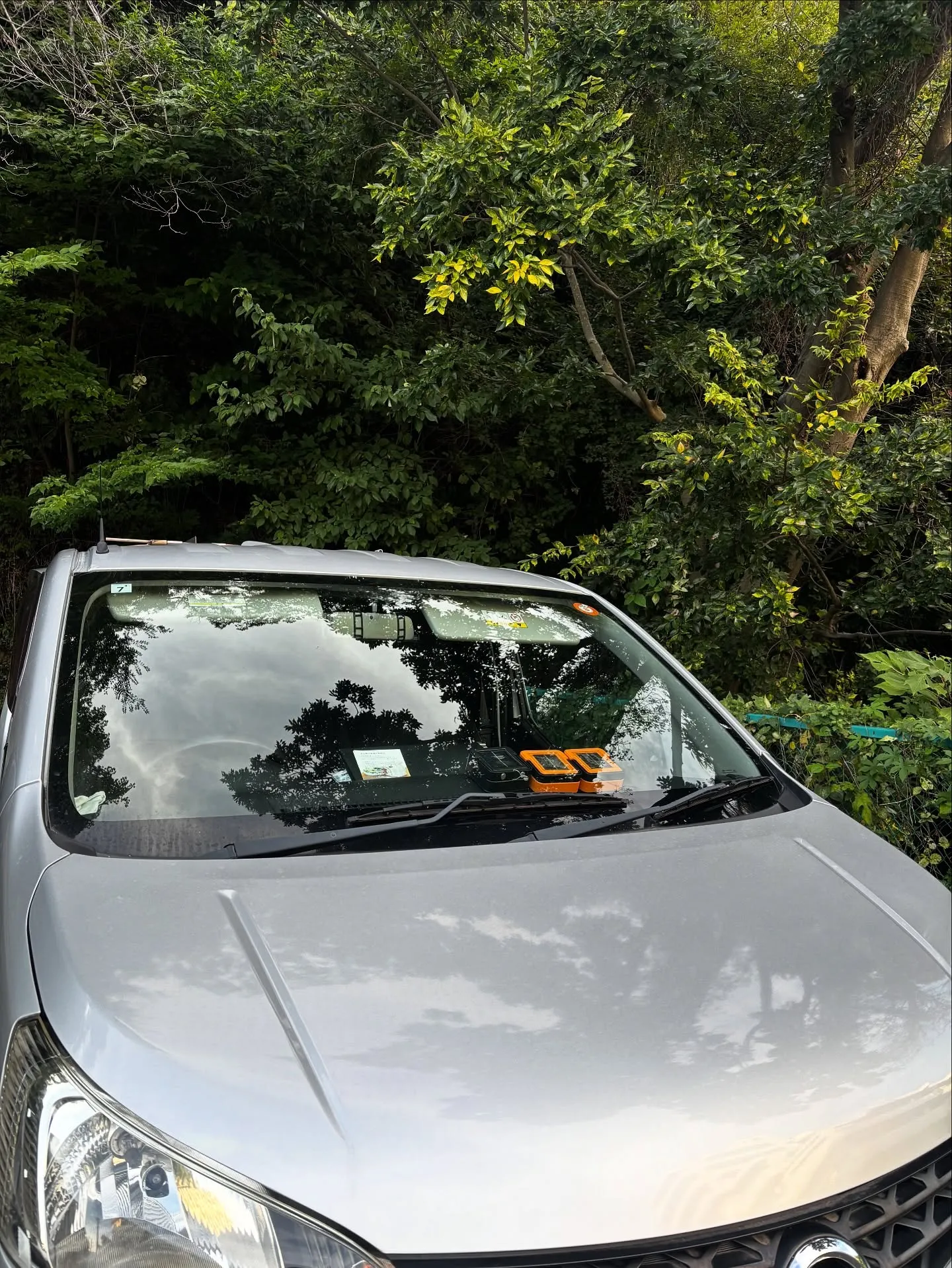 神奈川県逗子市にて、大切な家族の一員であるチワワちゃんの最後...