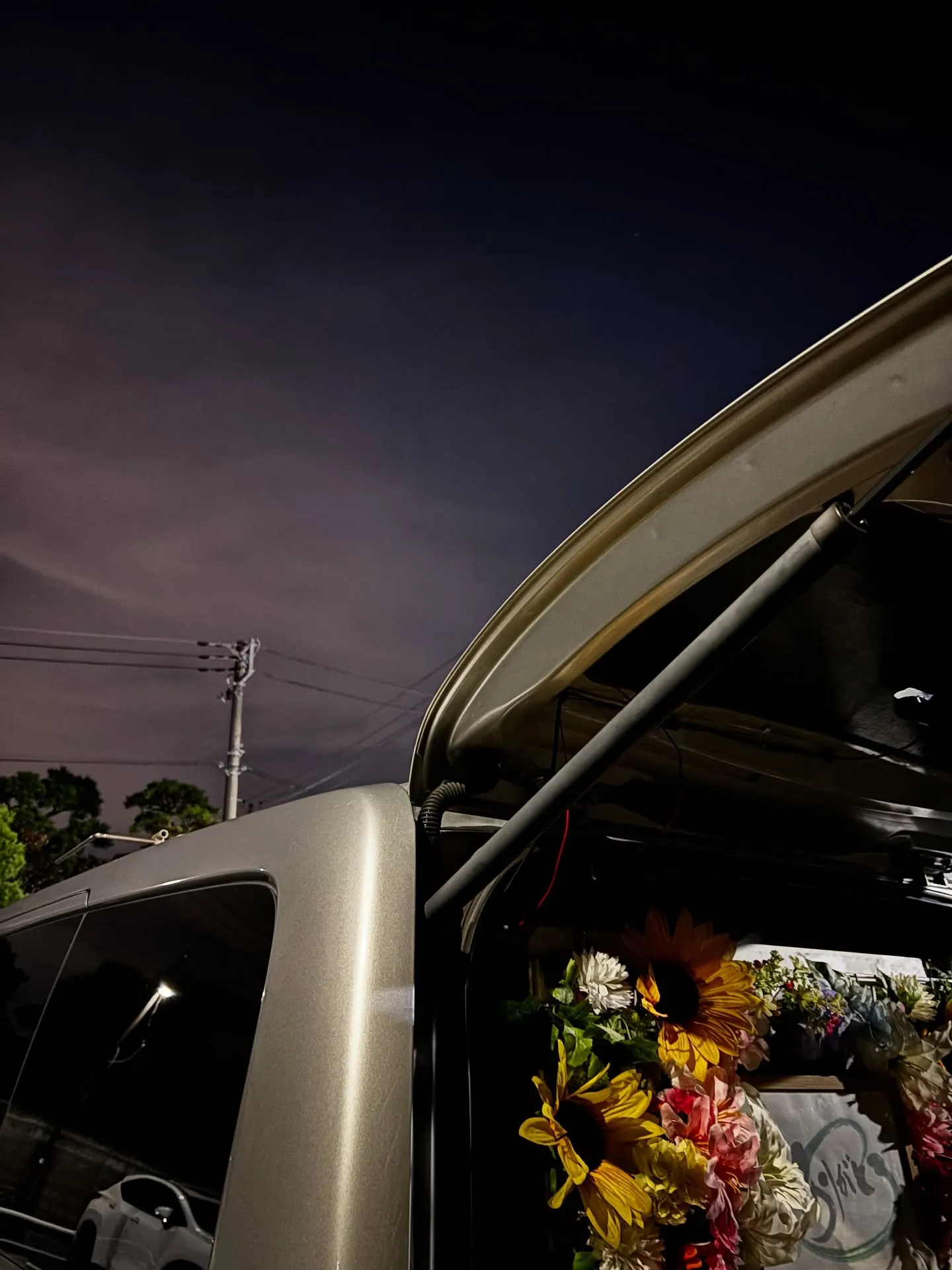 訪問ペット火葬について、メリットとデメリットの両面から詳しく...