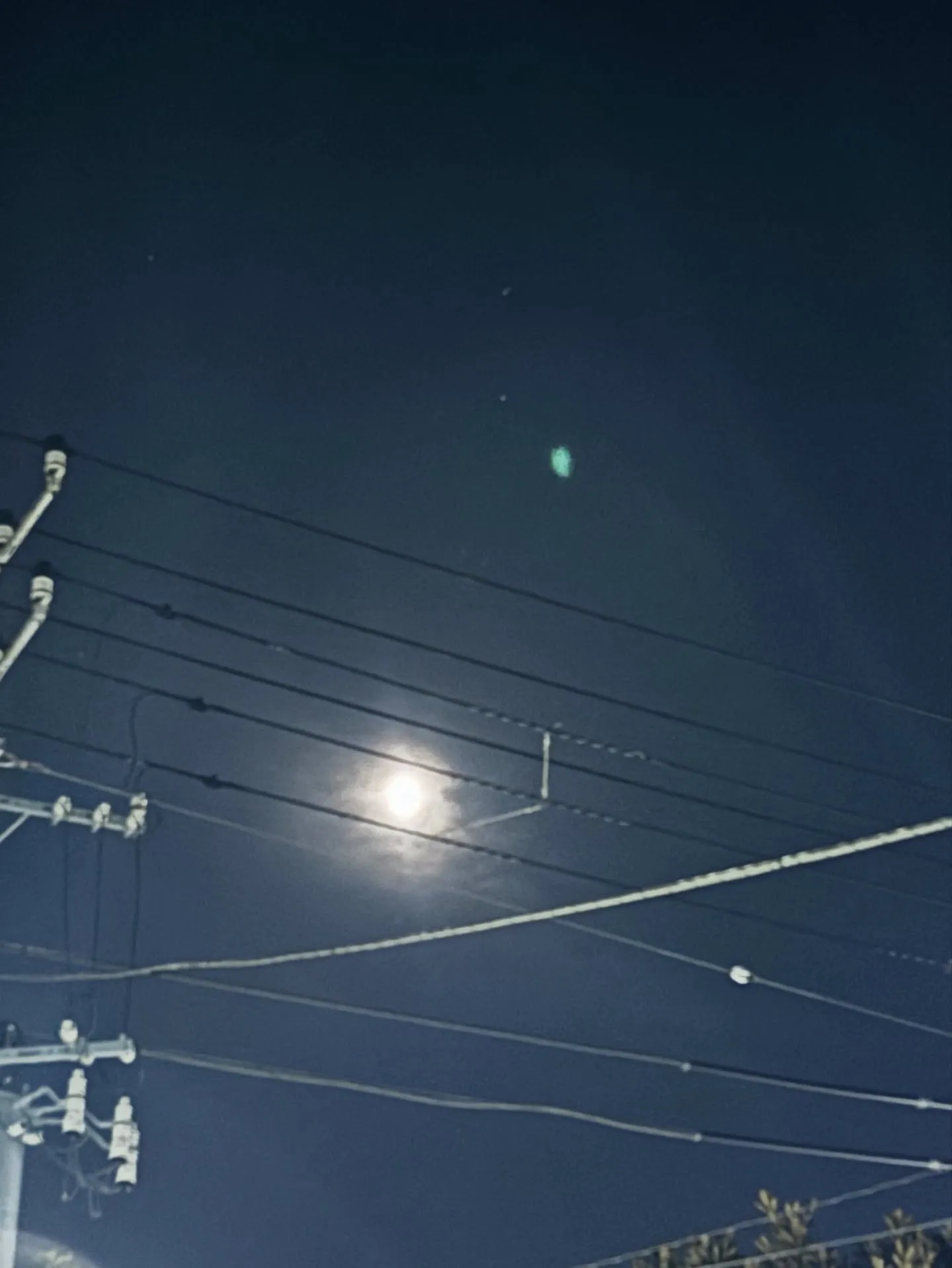 訪問ペット火葬について、メリットとデメリットの両面から詳しく...