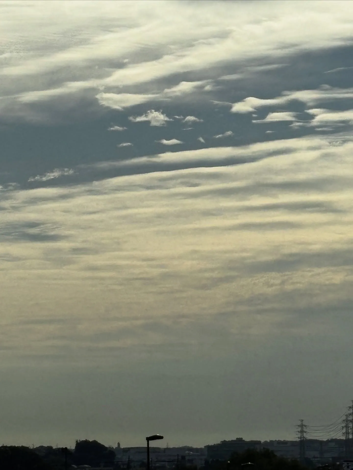 神奈川県逗子市で、愛らしい三毛猫ちゃんのペット葬儀とペット火...