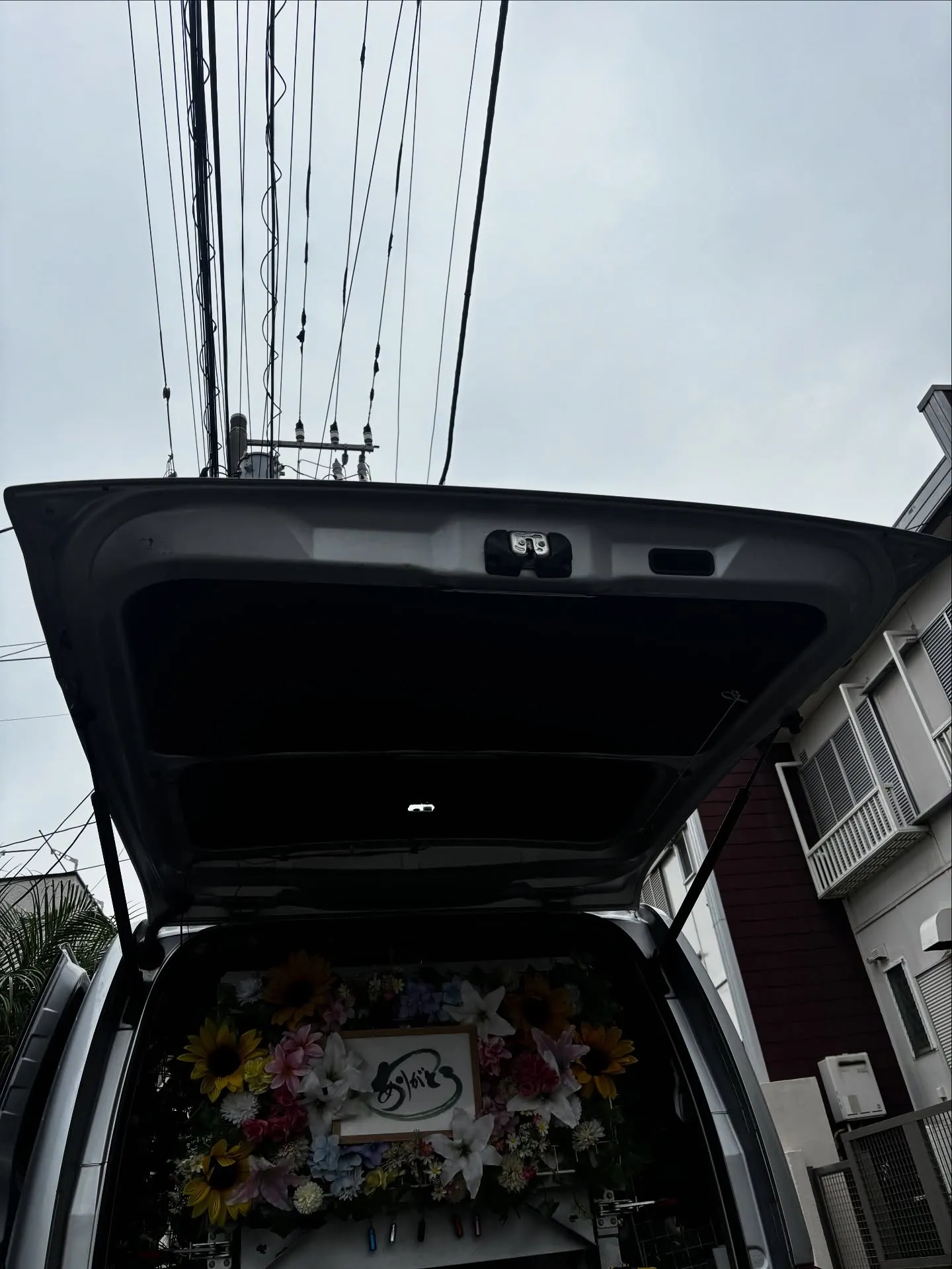 神奈川県藤沢市で、大切な家族の一員であるチワワちゃんの虹の橋...