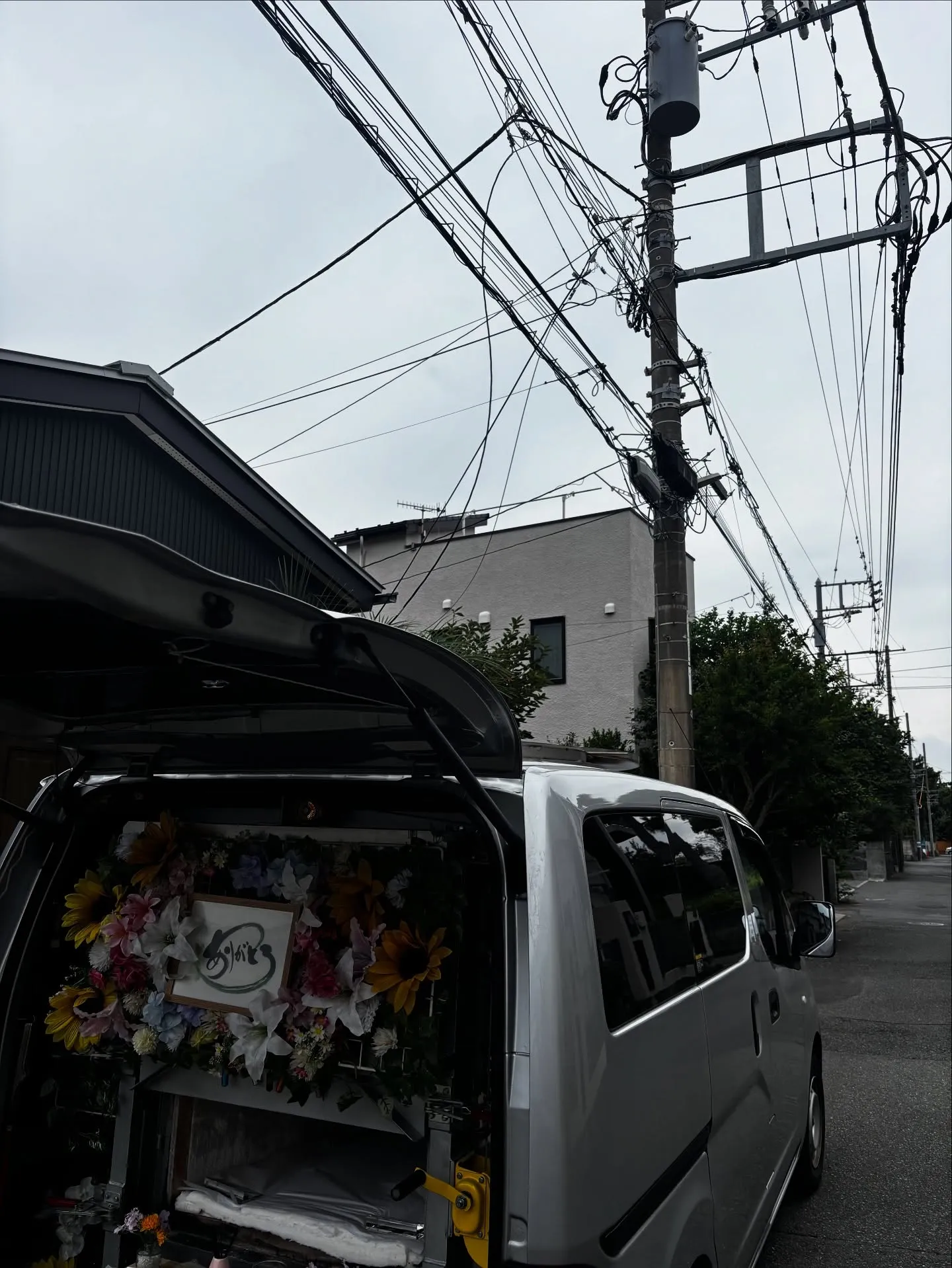 神奈川県藤沢市で、大切な家族の一員であるチワワちゃんの虹の橋...