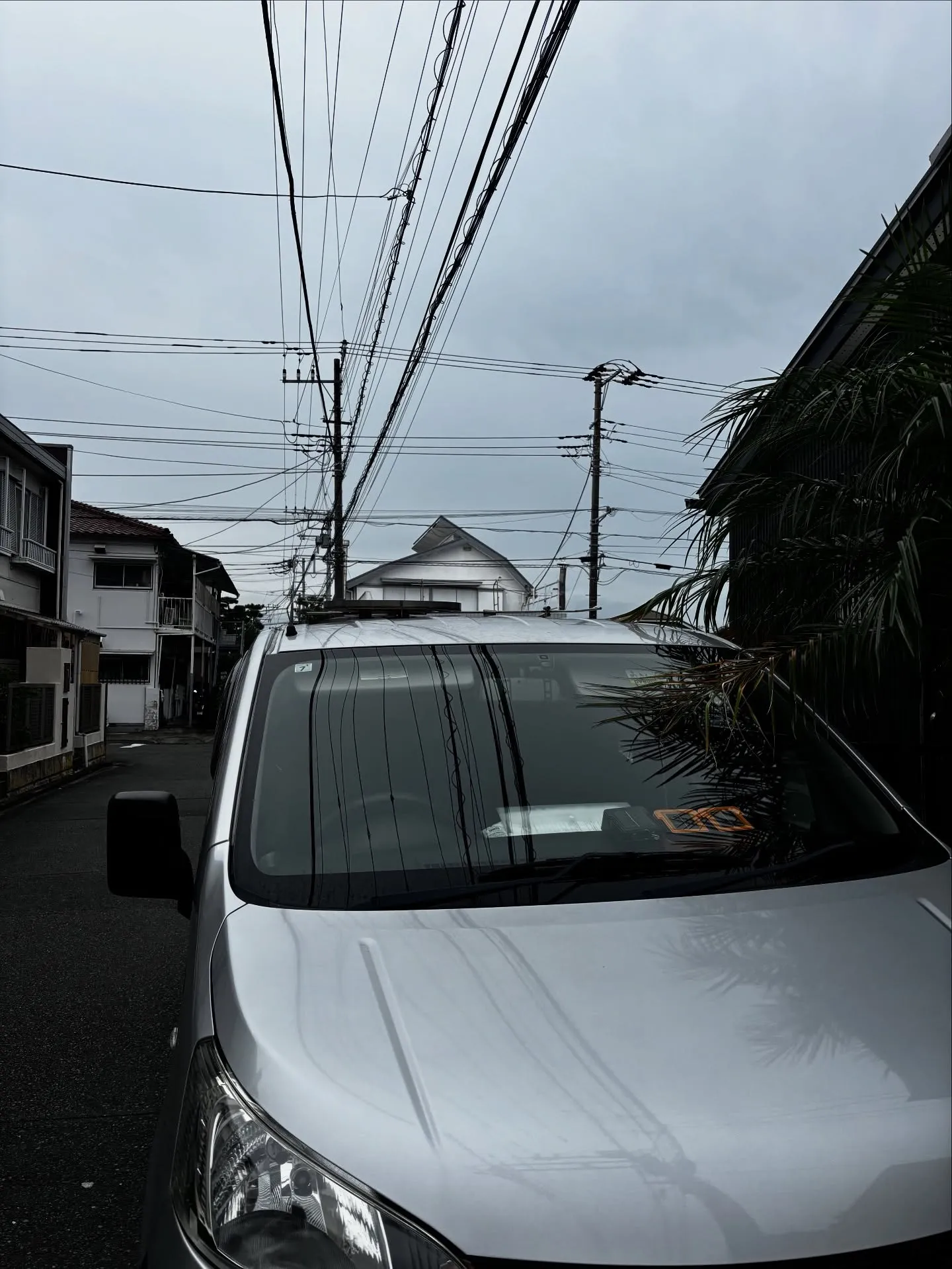 神奈川県藤沢市で、大切な家族の一員であるチワワちゃんの虹の橋...