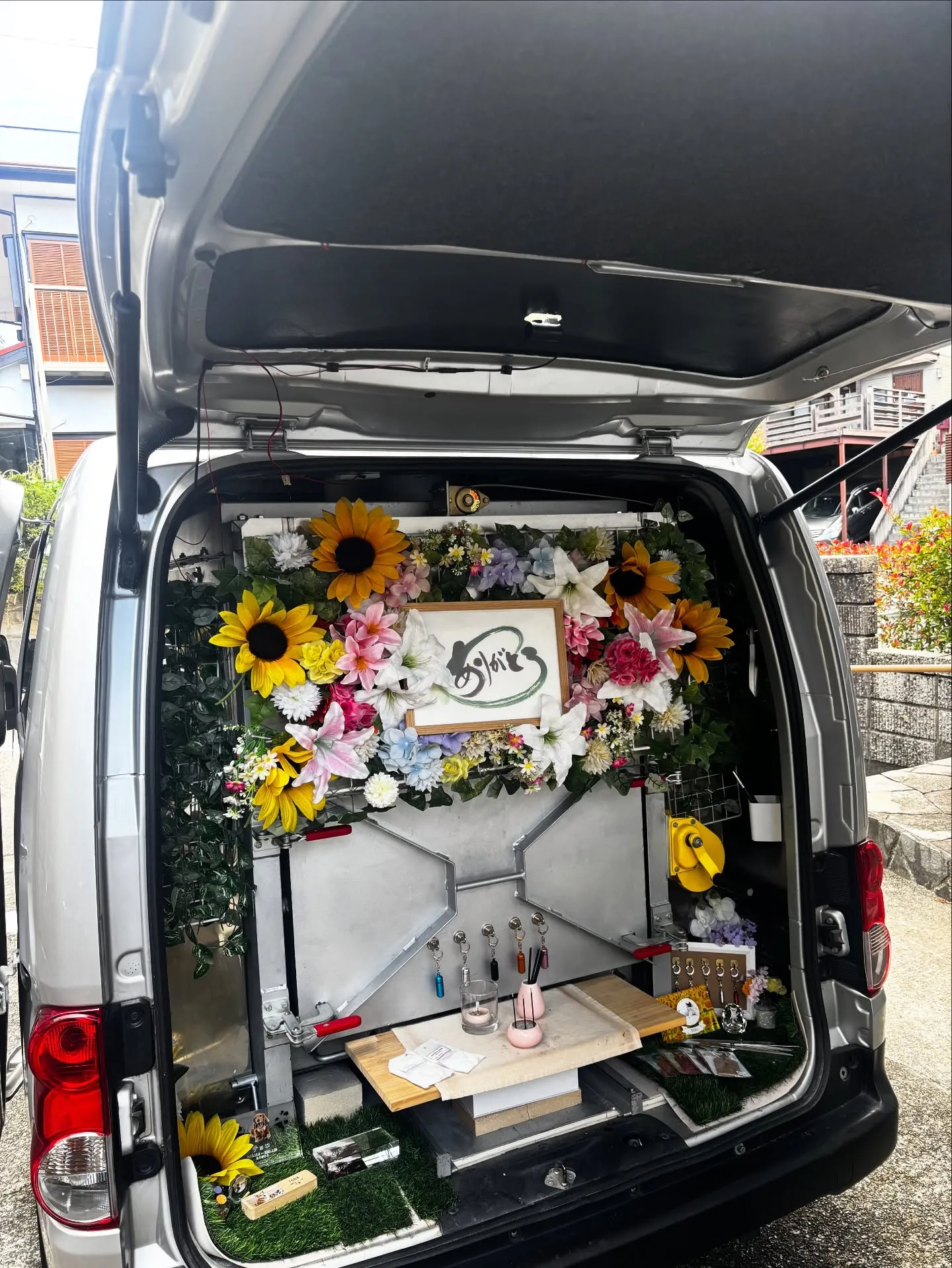 神奈川県葉山町にて、愛らしい素敵な毛色のアメリカンショートヘ...