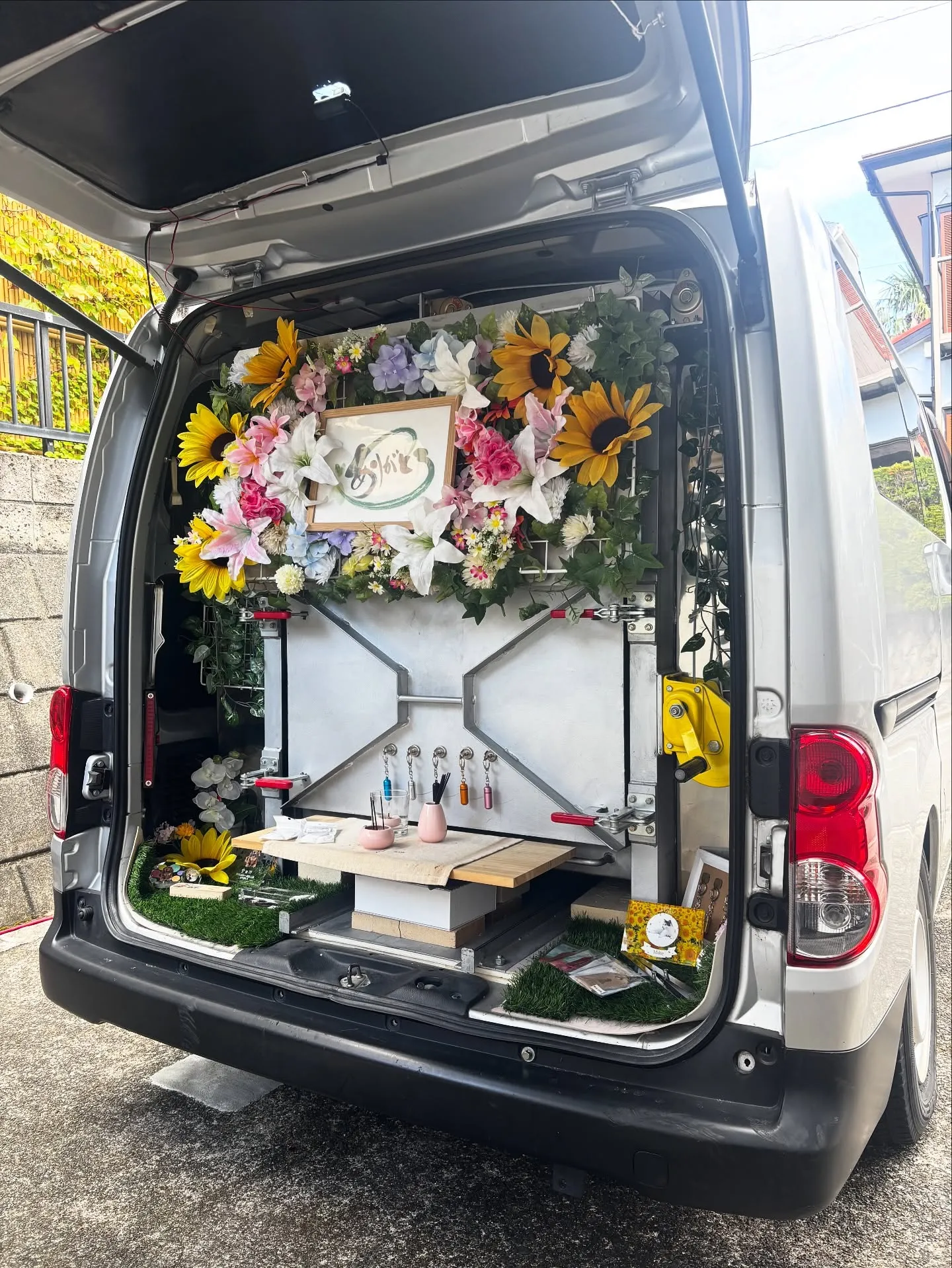 神奈川県葉山町にて、愛らしい素敵な毛色のアメリカンショートヘ...