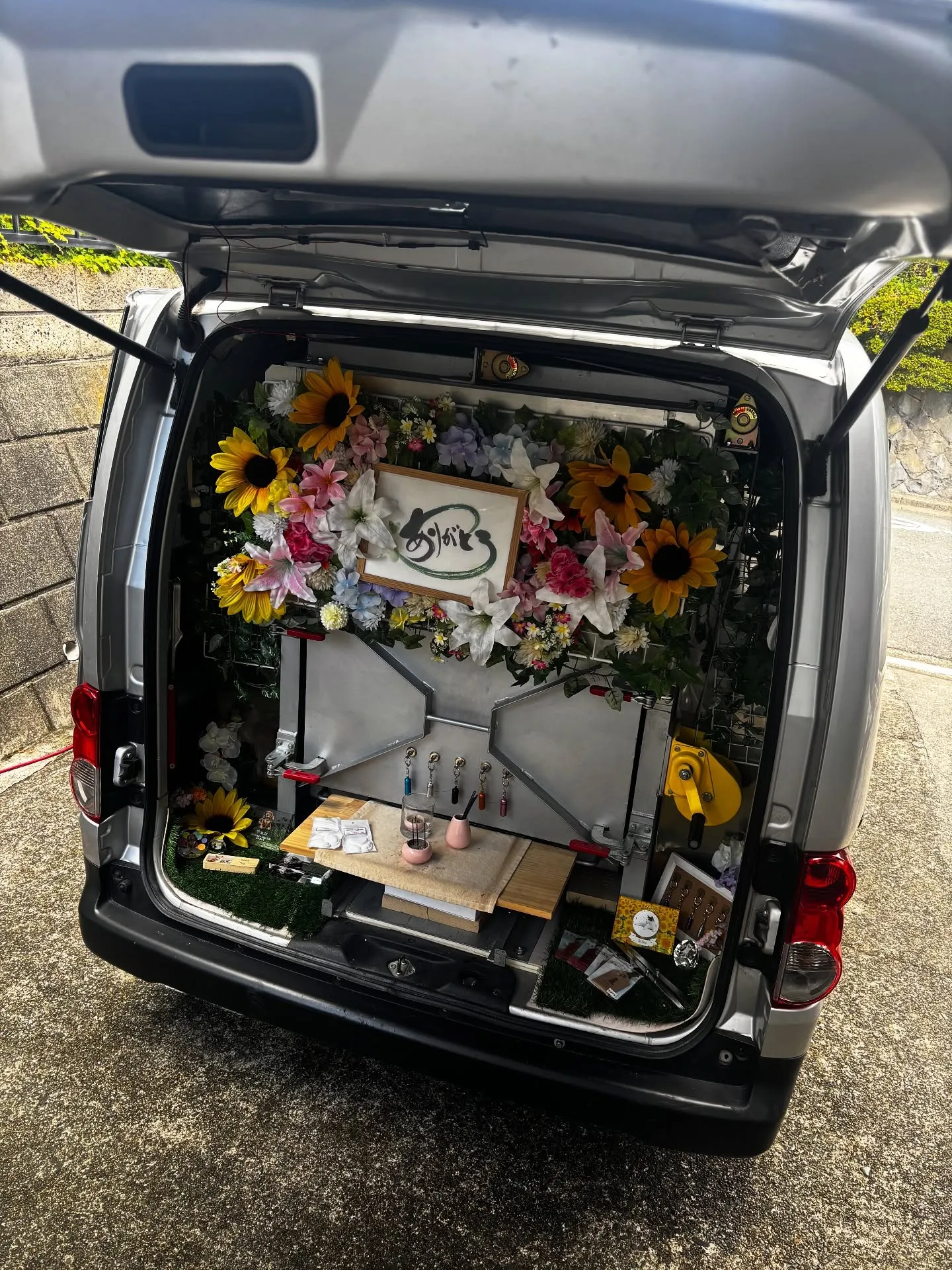 神奈川県葉山町にて、愛らしい素敵な毛色のアメリカンショートヘ...