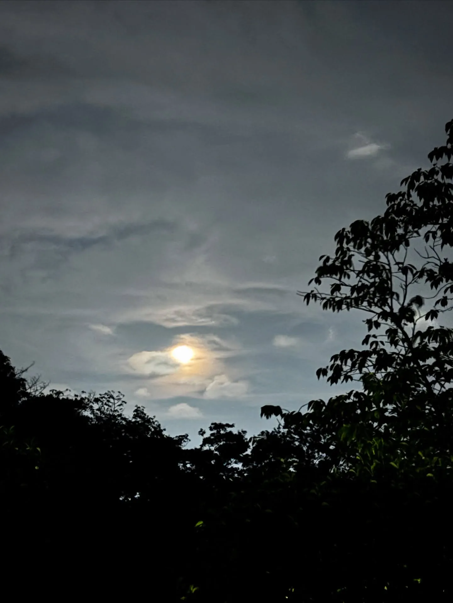 空は広大かつ一つでありながら、その日の気象条件によってさまざ...