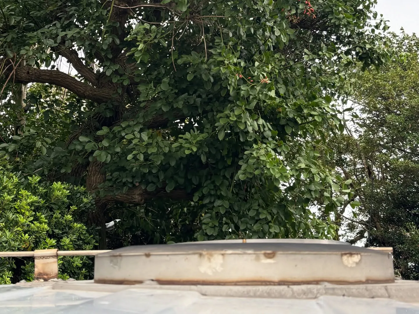 横須賀市で、多くのご家庭の一部となっていた大切なペットたちの...