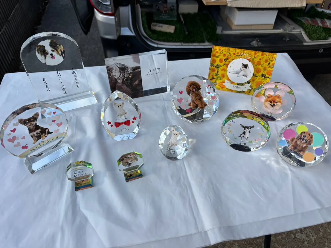 横浜市金沢区でセキセイインコちゃんのペット火葬のお手伝いをさ...