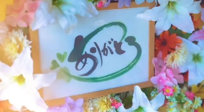 神奈川県三浦郡葉山町で、大切な猫ちゃんの最後の旅立ちをお手伝...