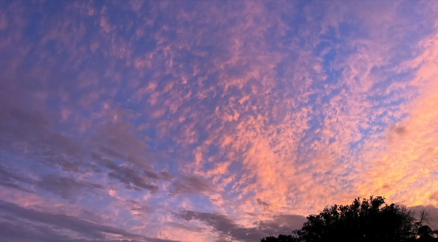 神奈川県三浦郡葉山町で、大切な猫ちゃんの最後の旅立ちをお手伝...
