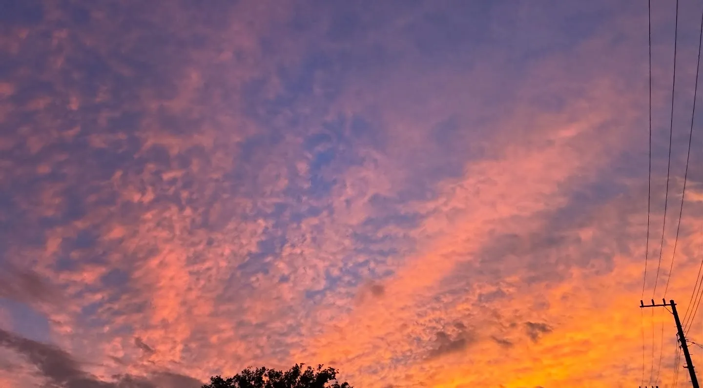 神奈川県三浦郡葉山町で、大切な猫ちゃんの最後の旅立ちをお手伝...
