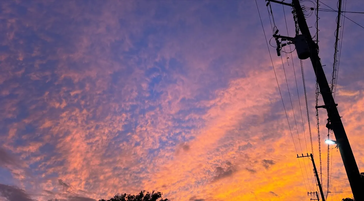 神奈川県三浦郡葉山町で、大切な猫ちゃんの最後の旅立ちをお手伝...