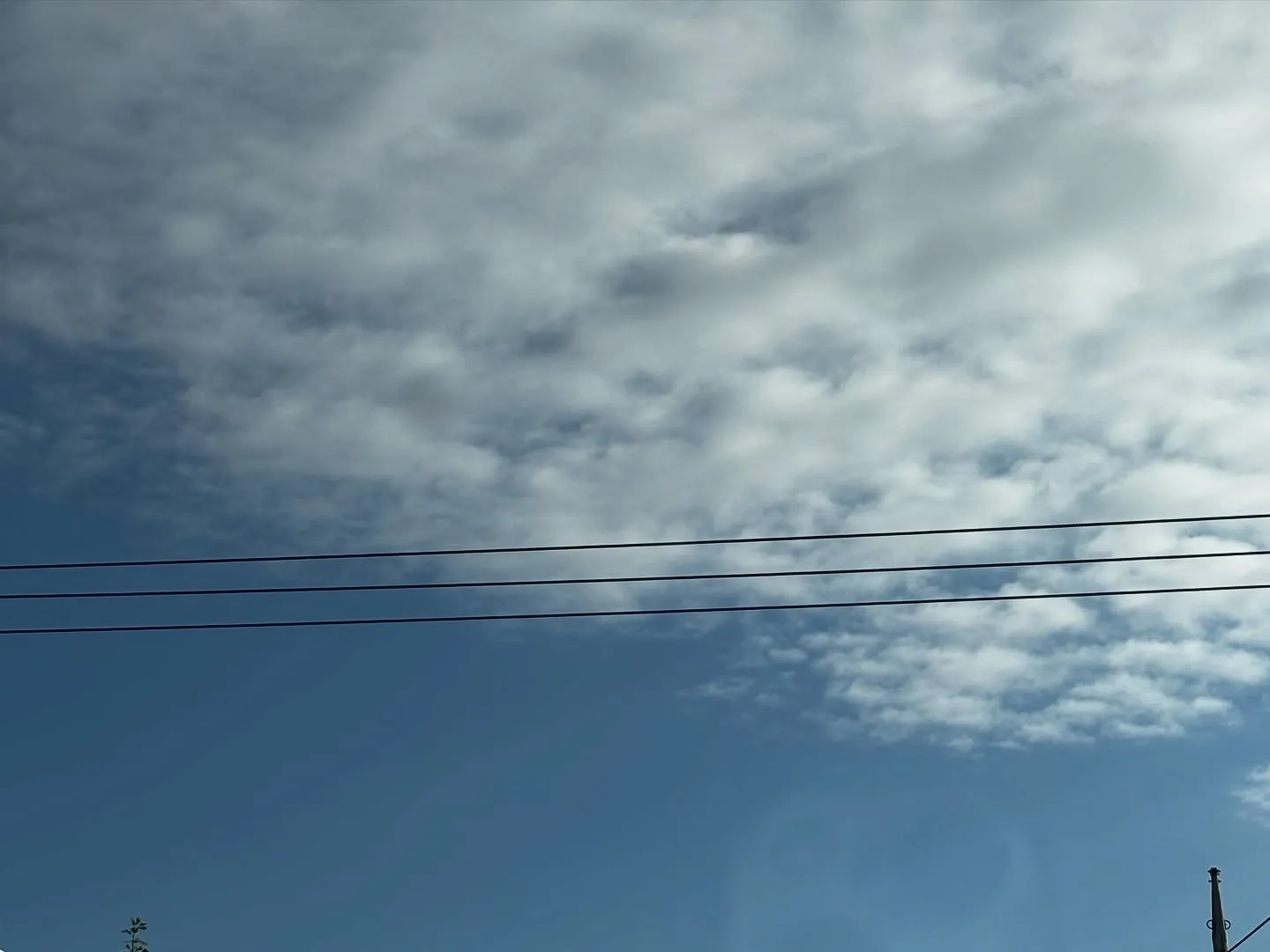 ペットメモリアル神奈川は、神奈川県で提供される訪問ペット火葬...