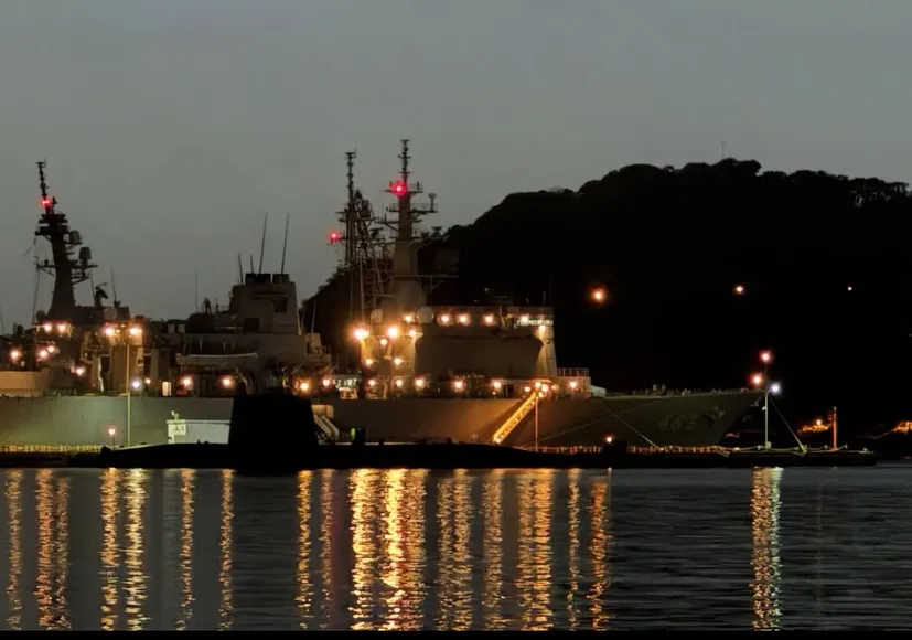 神奈川県横須賀市のご家族様のもとで生活していた愛らしいハムス...