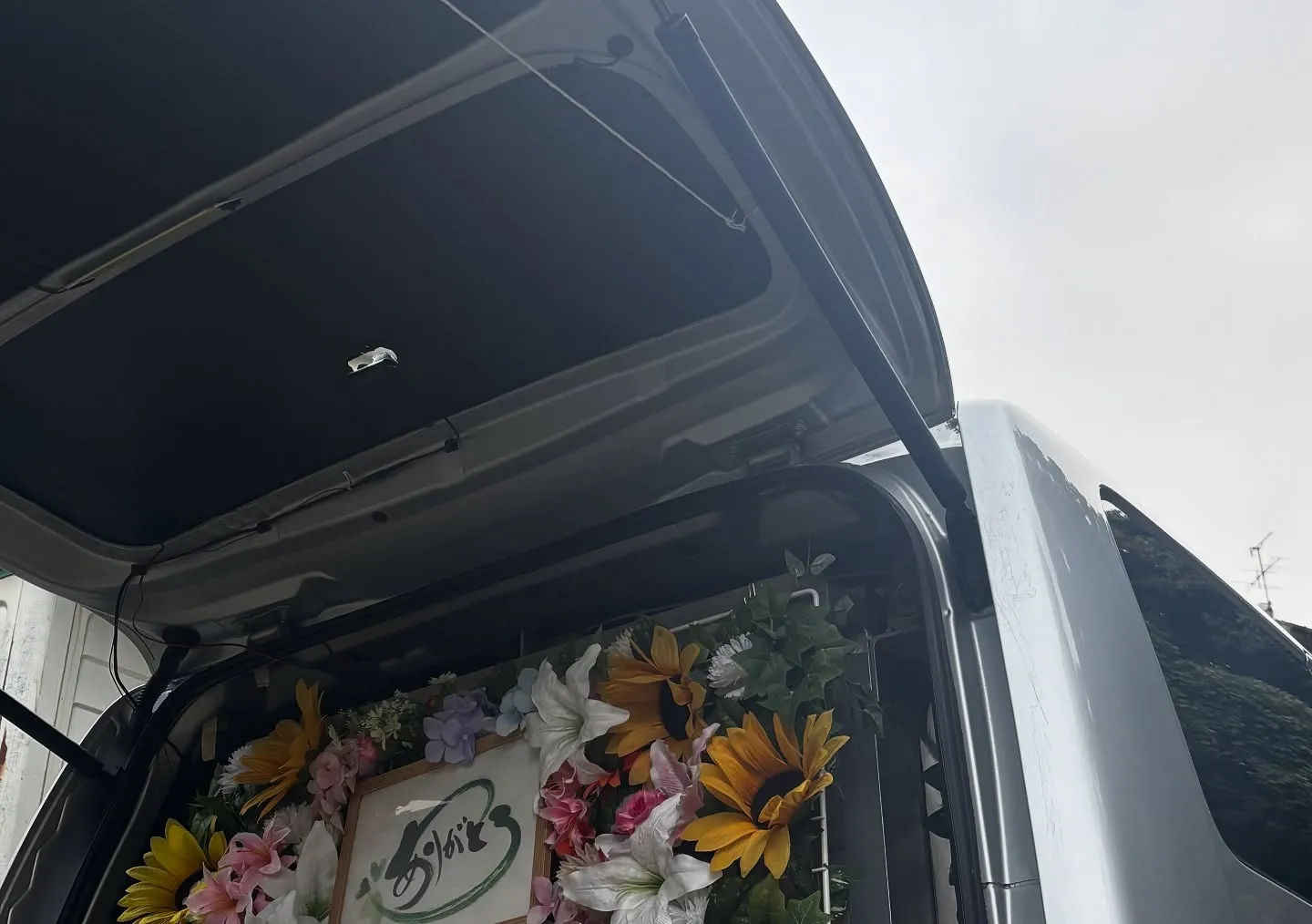 神奈川県横須賀市のご家族様のもとで生活していた愛らしいハムス...