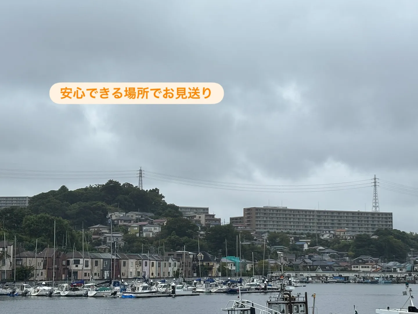 横須賀市からトイプードルちゃんのお見送りをお手伝いさせていた...