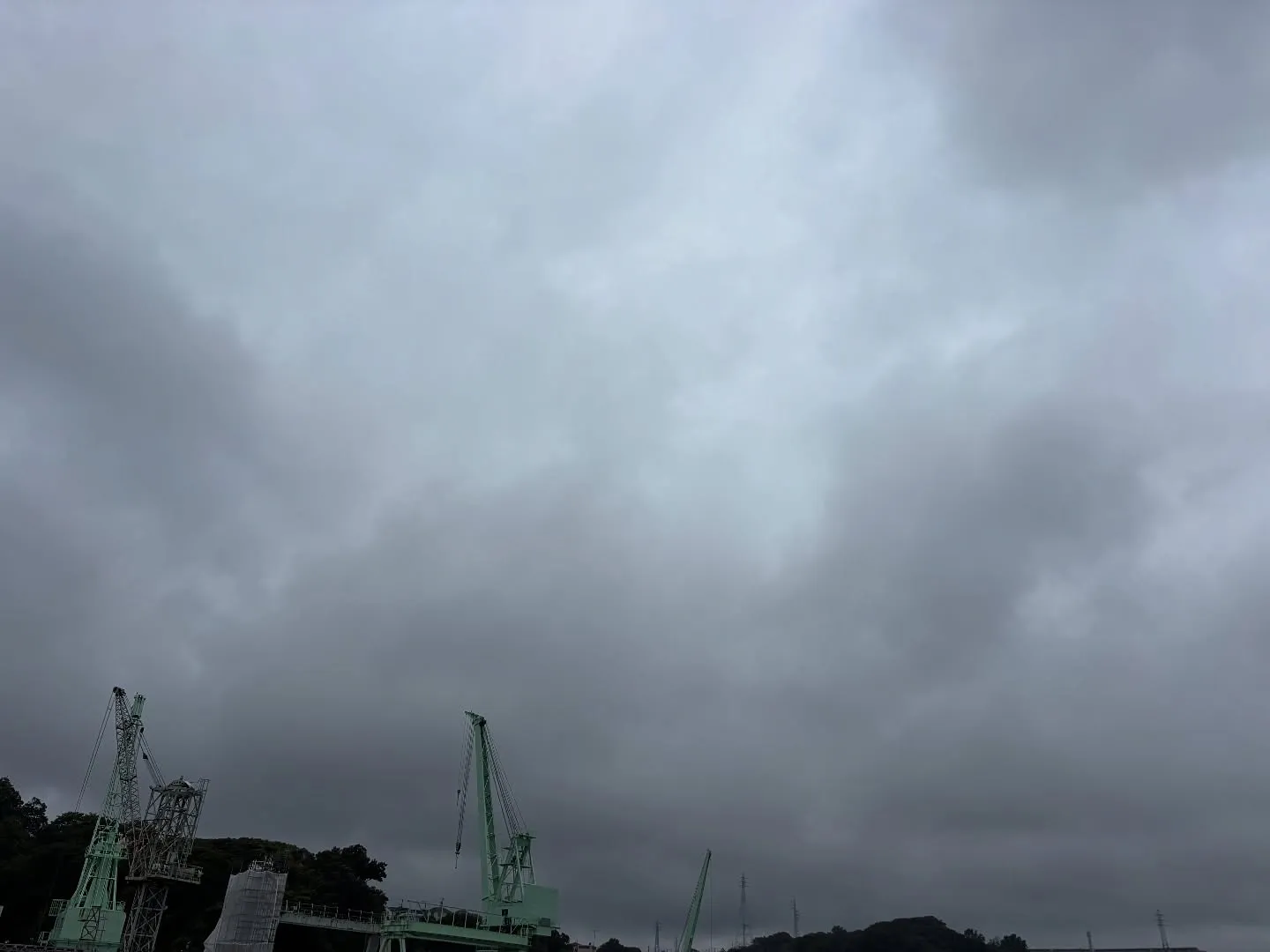 横須賀市からトイプードルちゃんのお見送りをお手伝いさせていた...