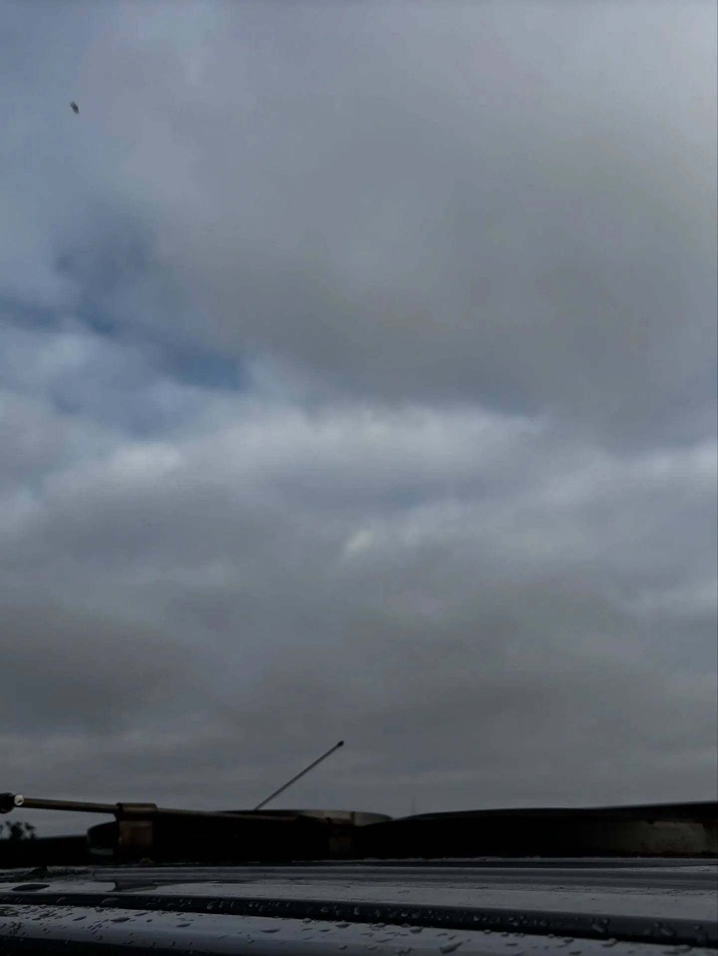 神奈川県横須賀市にて、ご家族の大切なミックス犬のお見送りとペ...