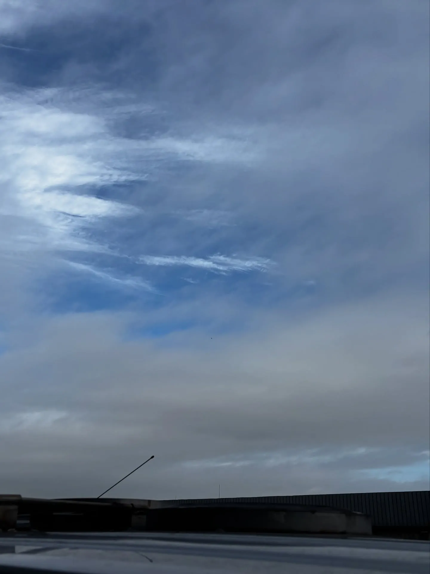 三浦市にて、長年ともに過ごされたミックス犬のペット葬儀と火葬...