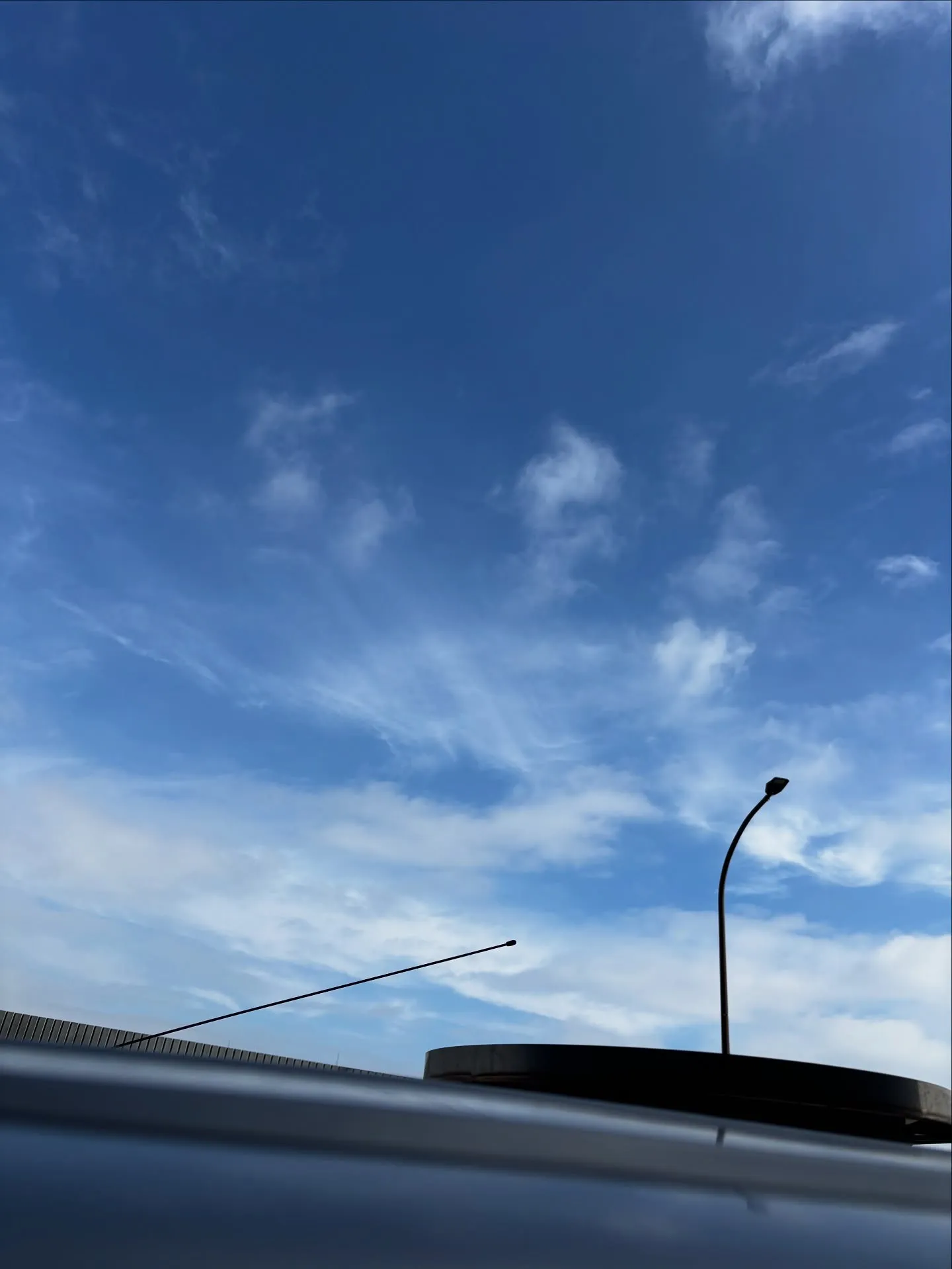 三浦市にて、長年ともに過ごされたミックス犬のペット葬儀と火葬...