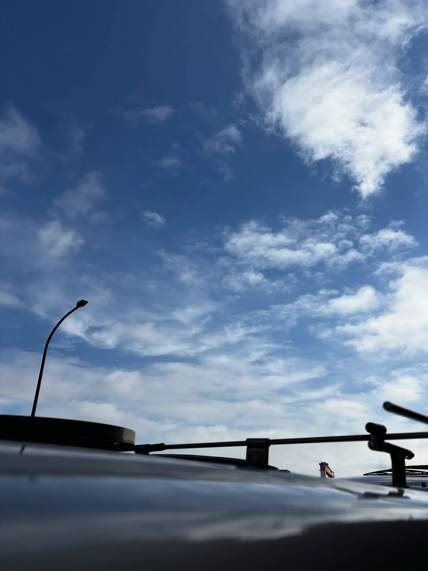 三浦市にて、長年ともに過ごされたミックス犬のペット葬儀と火葬...