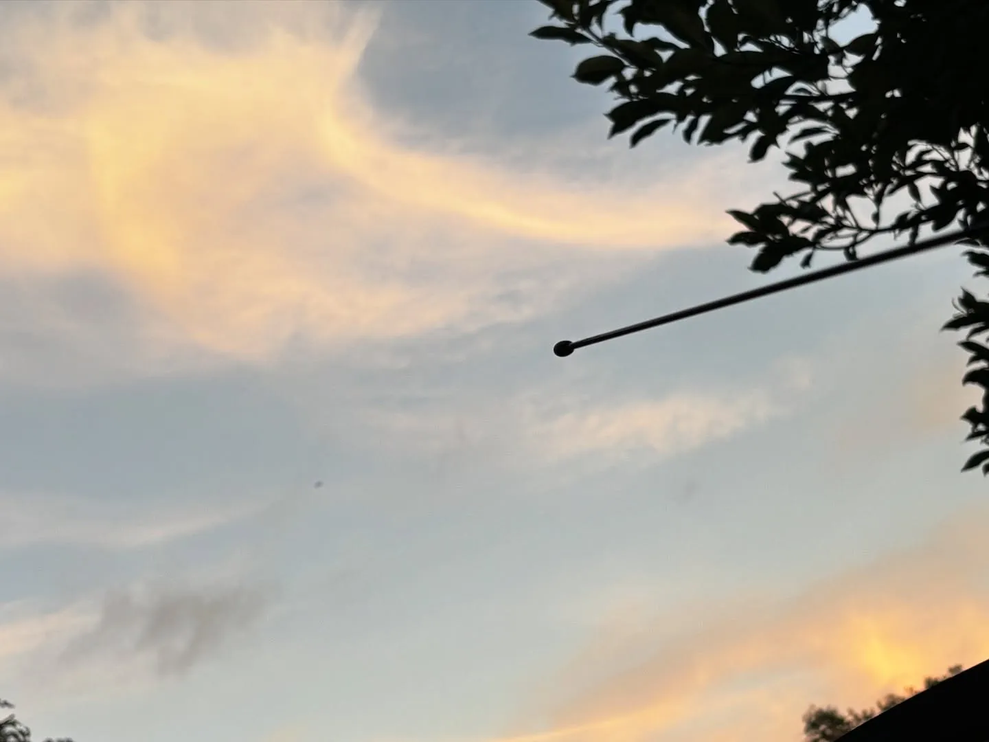 神奈川県横須賀市で、飼い主様と愛犬である柴犬のお別れのお手伝...