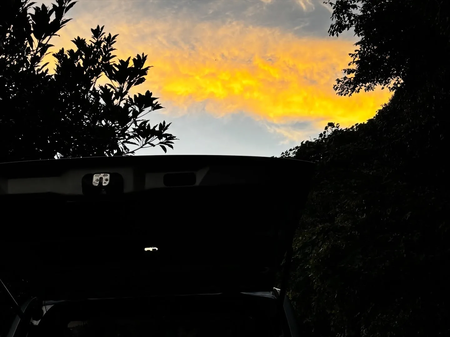 神奈川県横須賀市で、飼い主様と愛犬である柴犬のお別れのお手伝...