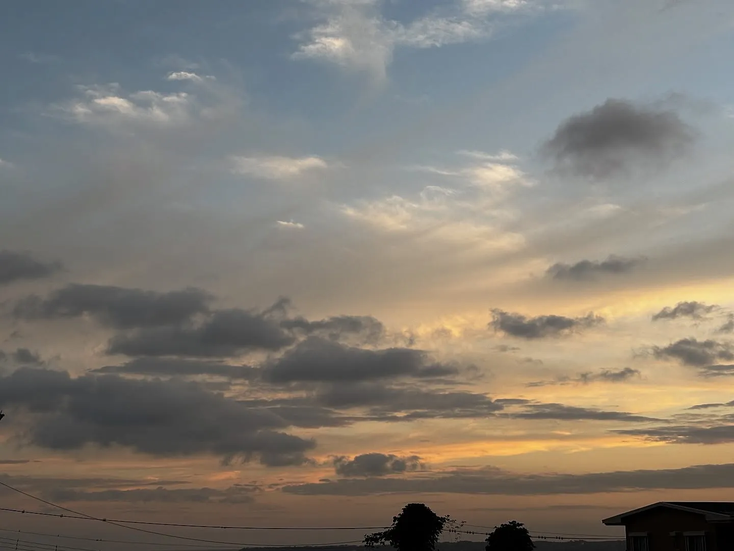 神奈川県横須賀市で、飼い主様と愛犬である柴犬のお別れのお手伝...