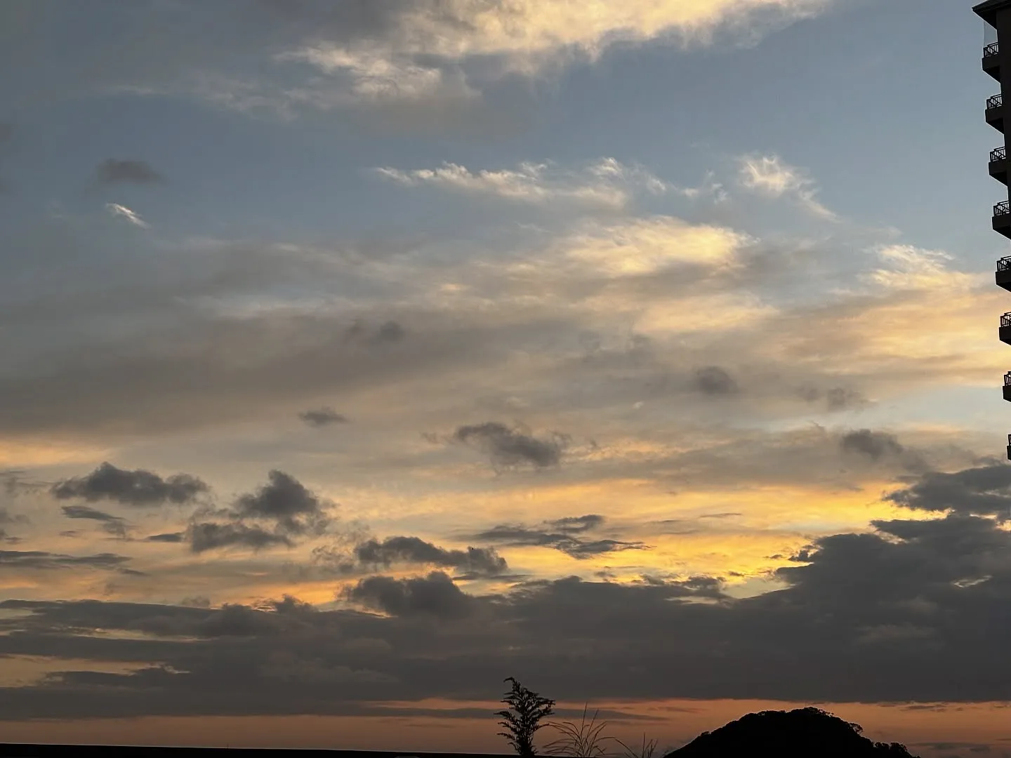 神奈川県横須賀市で、飼い主様と愛犬である柴犬のお別れのお手伝...