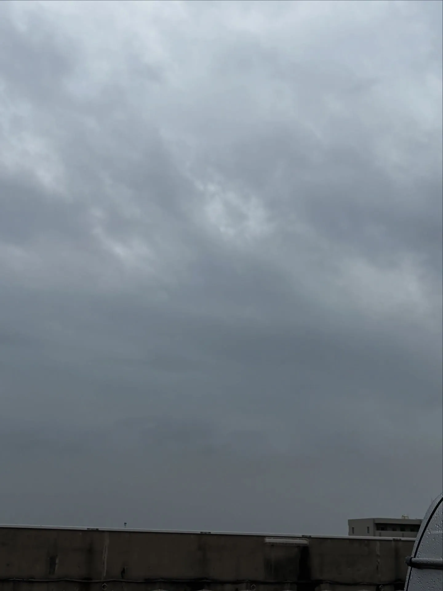 神奈川県逗子市にお住まいのご家族様の一員であった可愛い猫ちゃ...