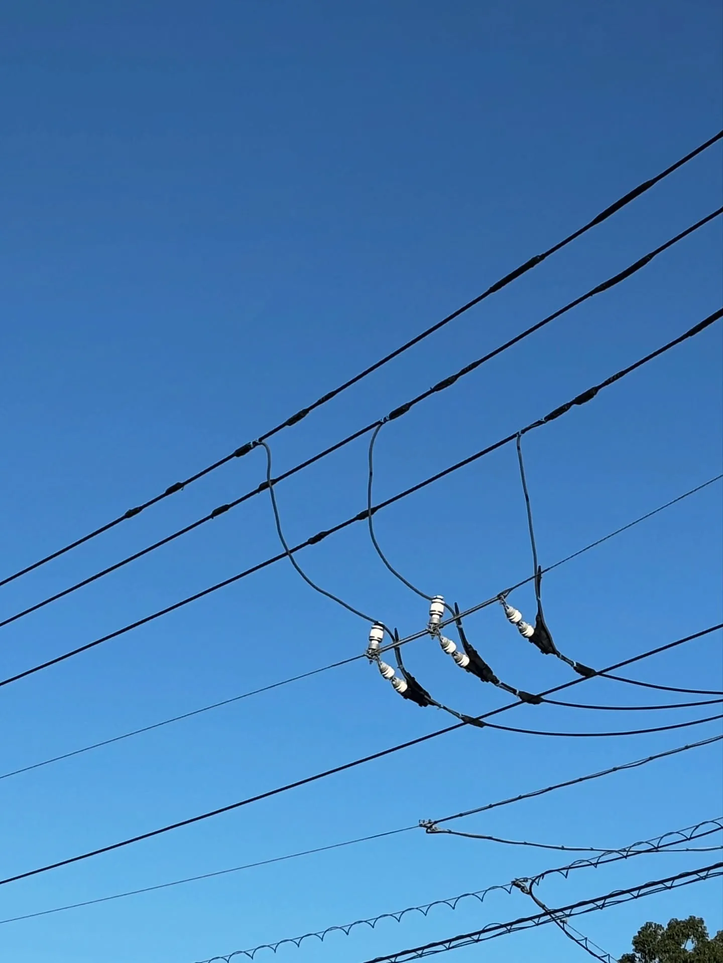 横須賀市にてペット火葬のお手伝いをさせていただいたご家族様よ...