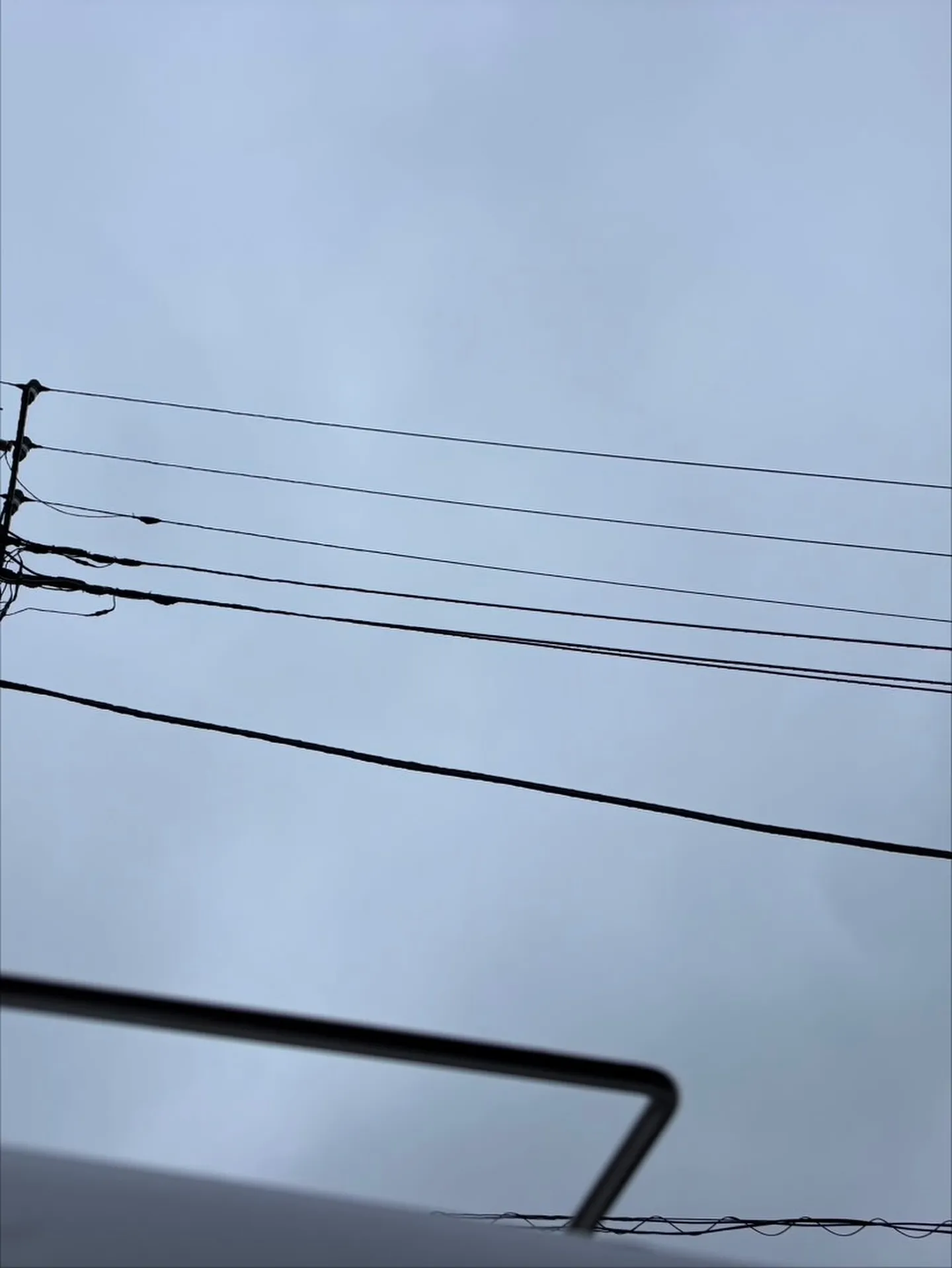 横須賀市でのペット火葬にて、Mix犬のお見送りをお手伝いさせ...