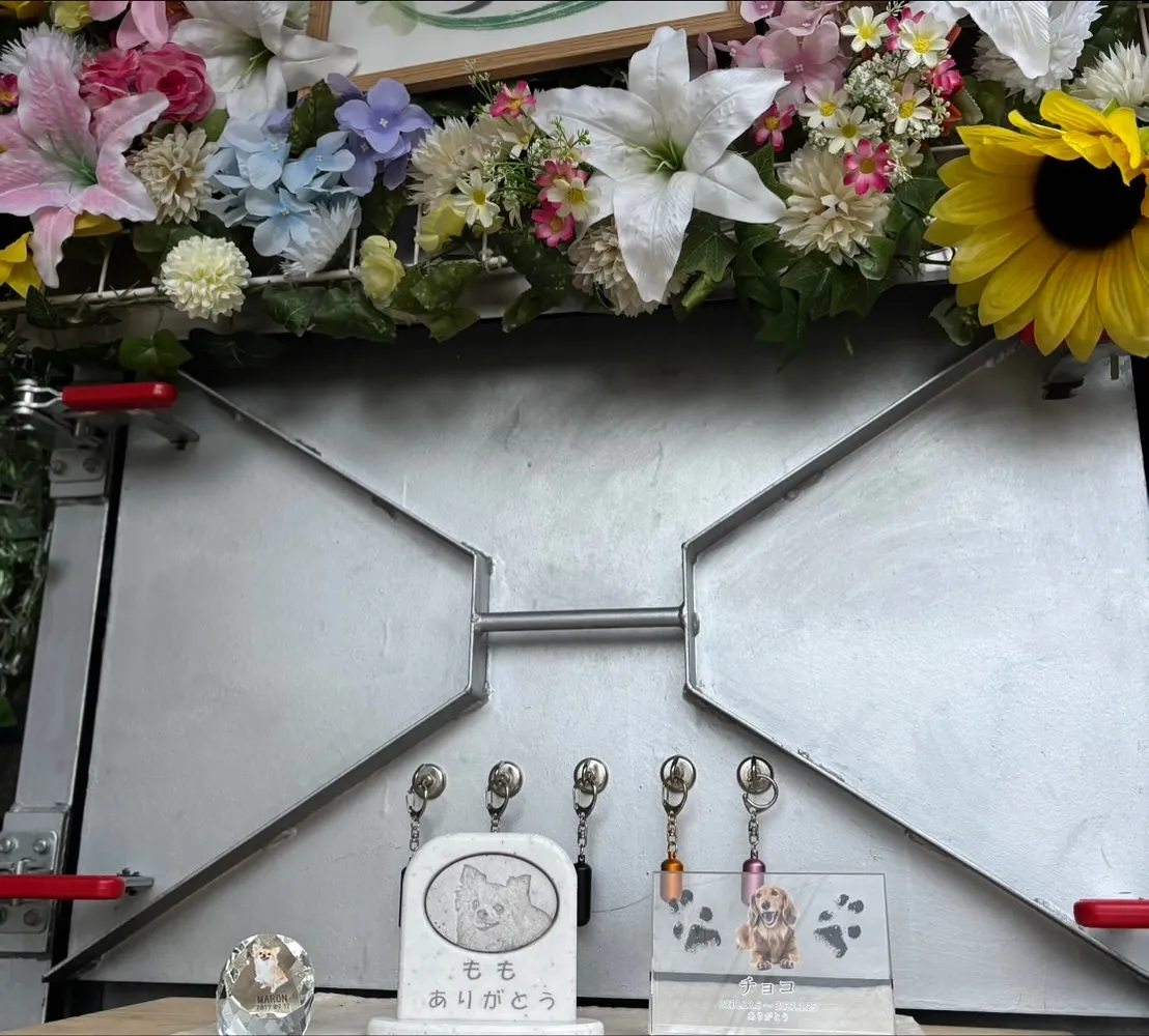 神奈川県大和市にて、愛する猫ちゃんの訪問ペット火葬サービスを...