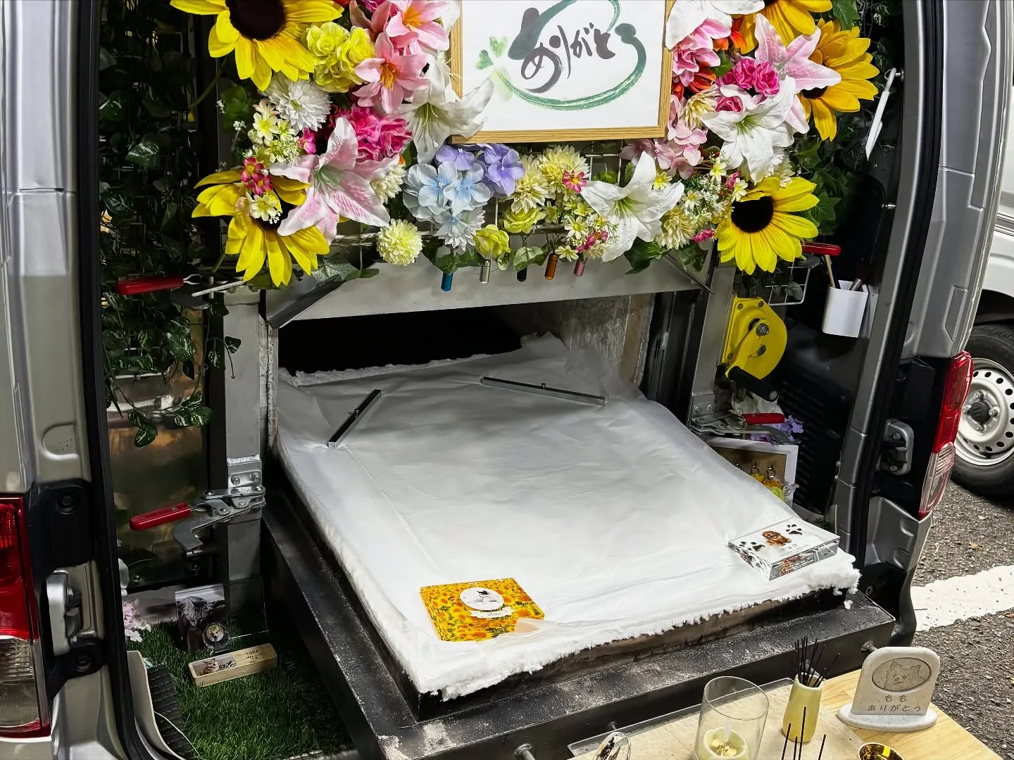 横須賀市にて、アメリカンコッカースパニエルのランディー君のお...