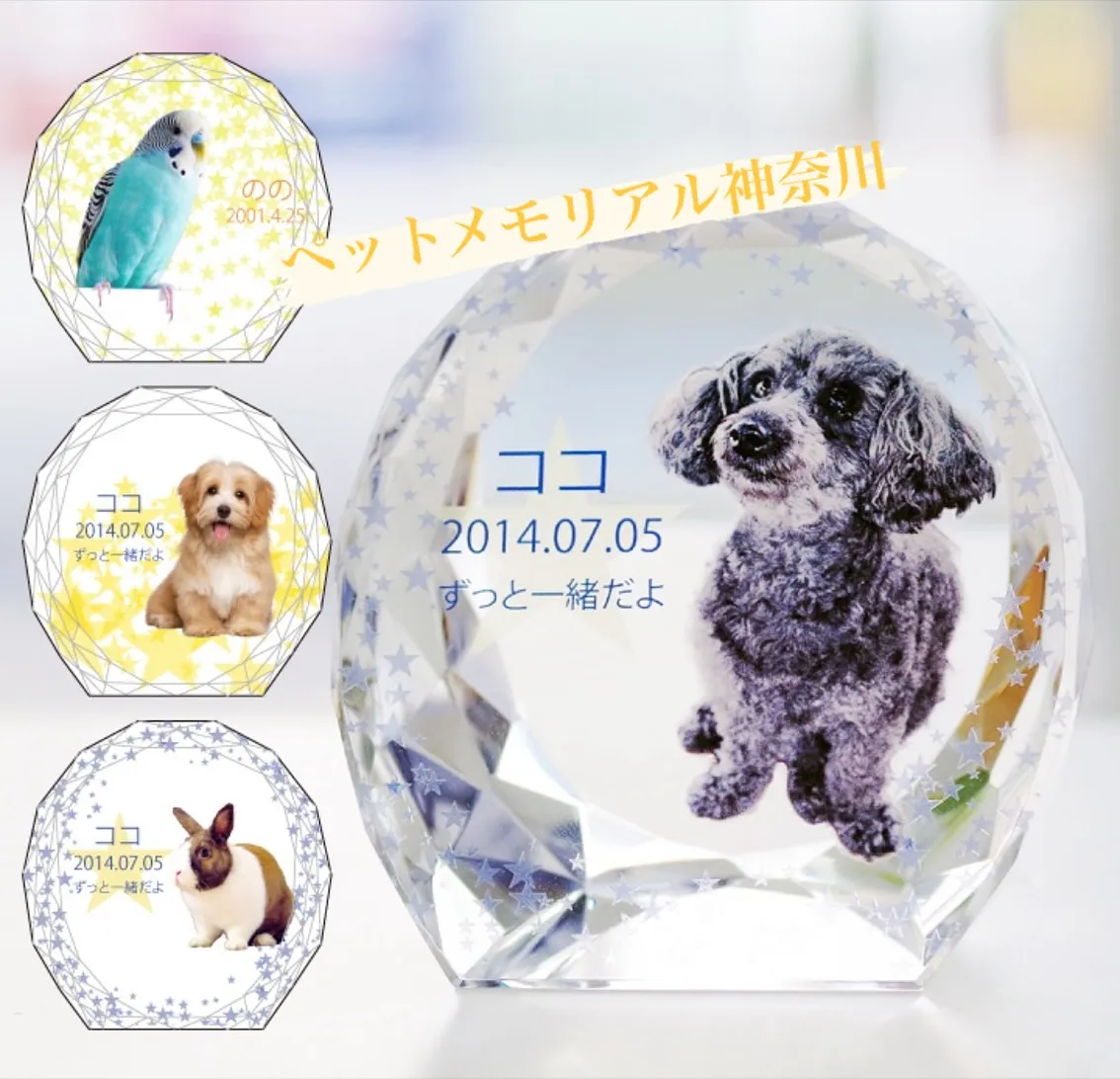 大切なペットとの思い出を特別なカタチで残したいと考えるすべて...