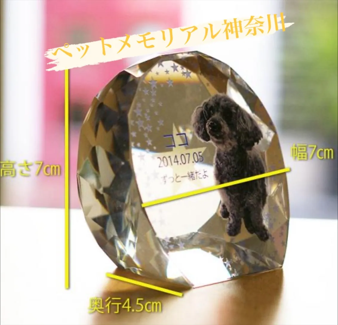 大切なペットとの思い出を特別なカタチで残したいと考えるすべて...