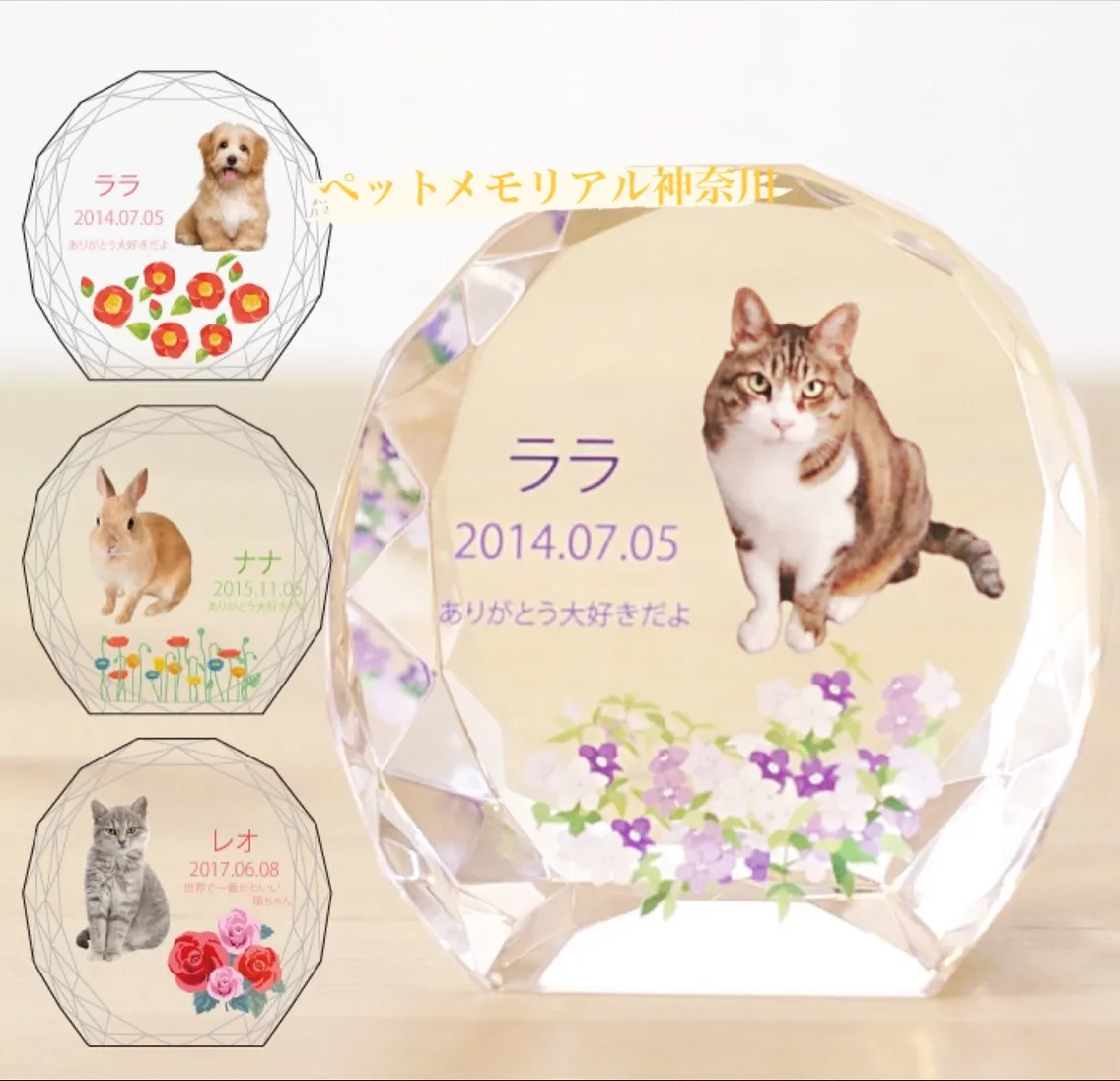 大切なペットとの思い出を特別なカタチで残したいと考えるすべて...