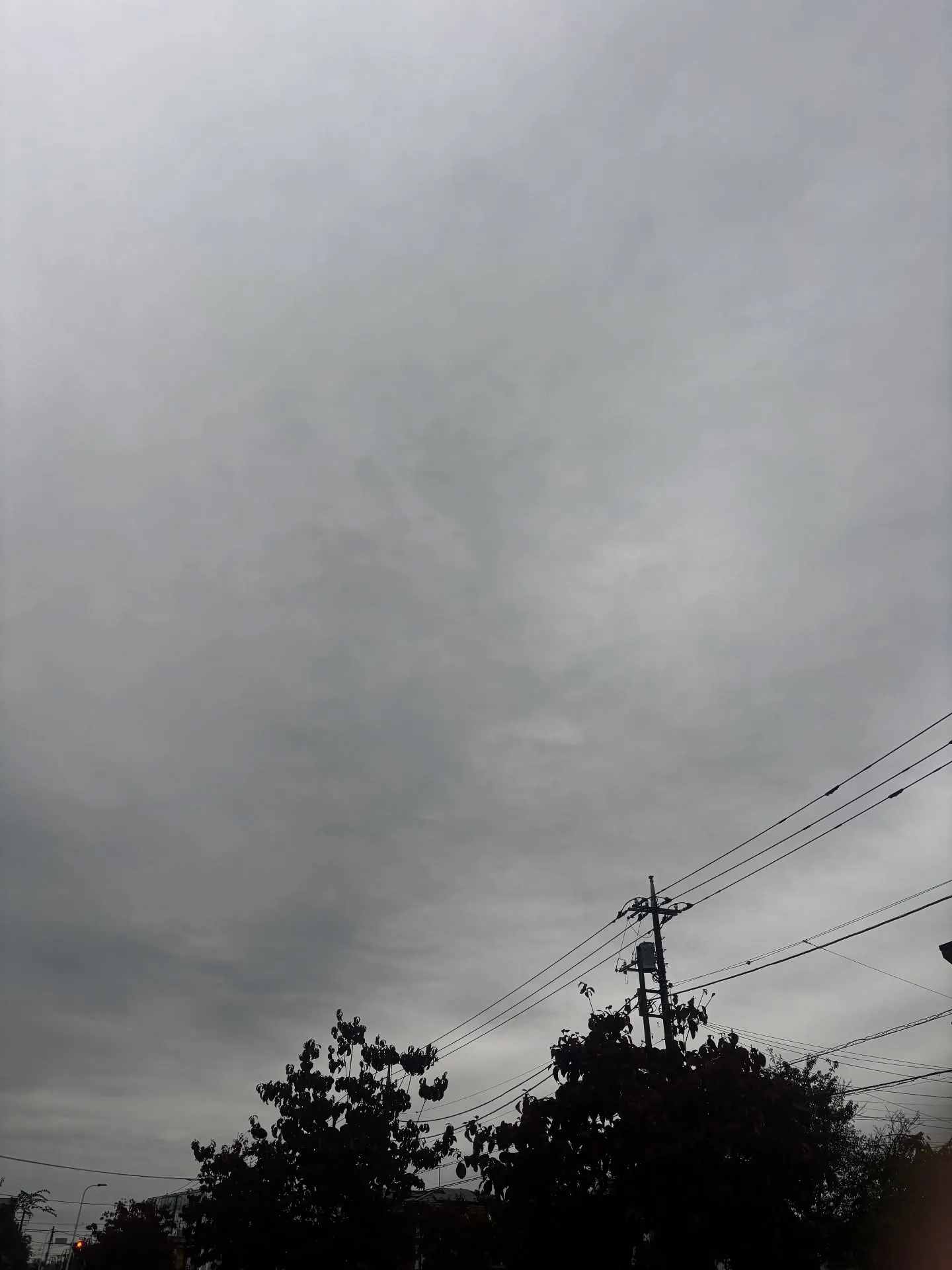 我々ペットメモリアル神奈川のスタッフは、日々空を見上げること...