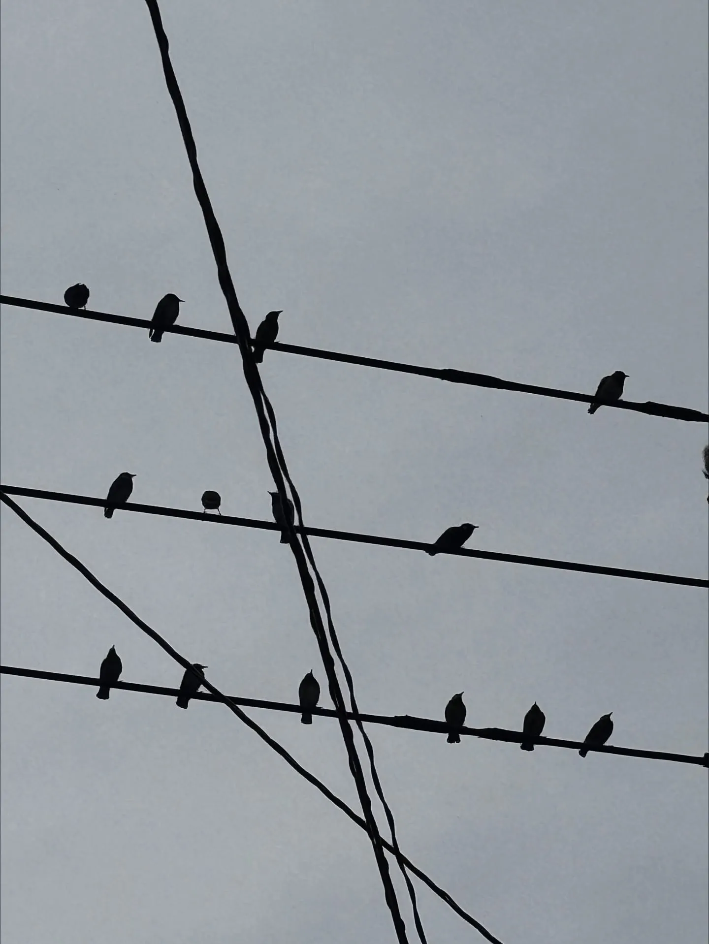 我々ペットメモリアル神奈川のスタッフは、日々空を見上げること...